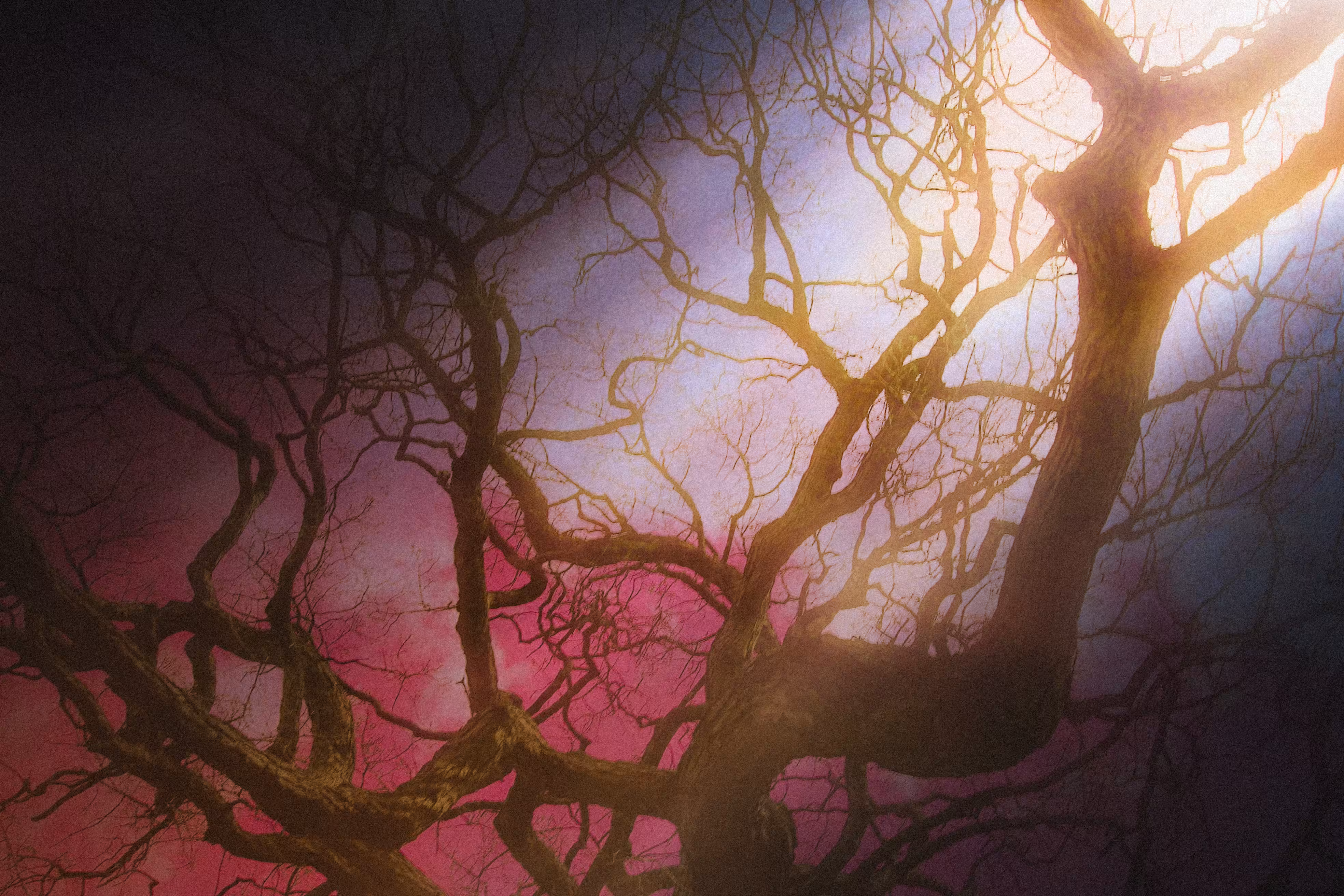 Let The Light Bleed Into You