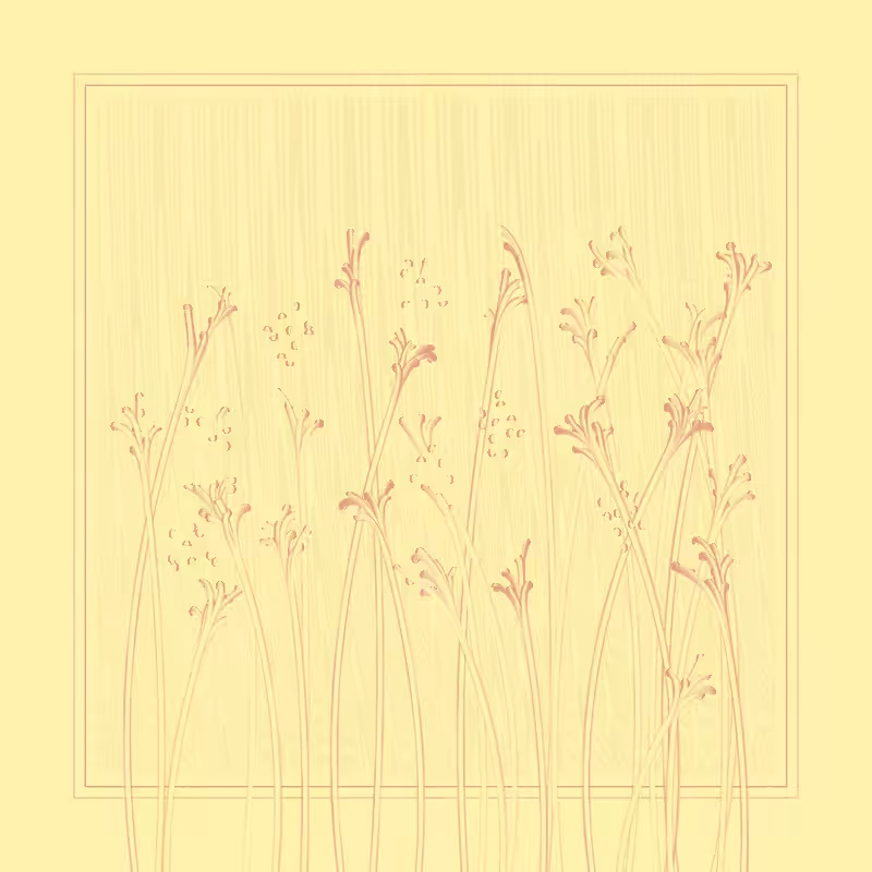string_pllu #51