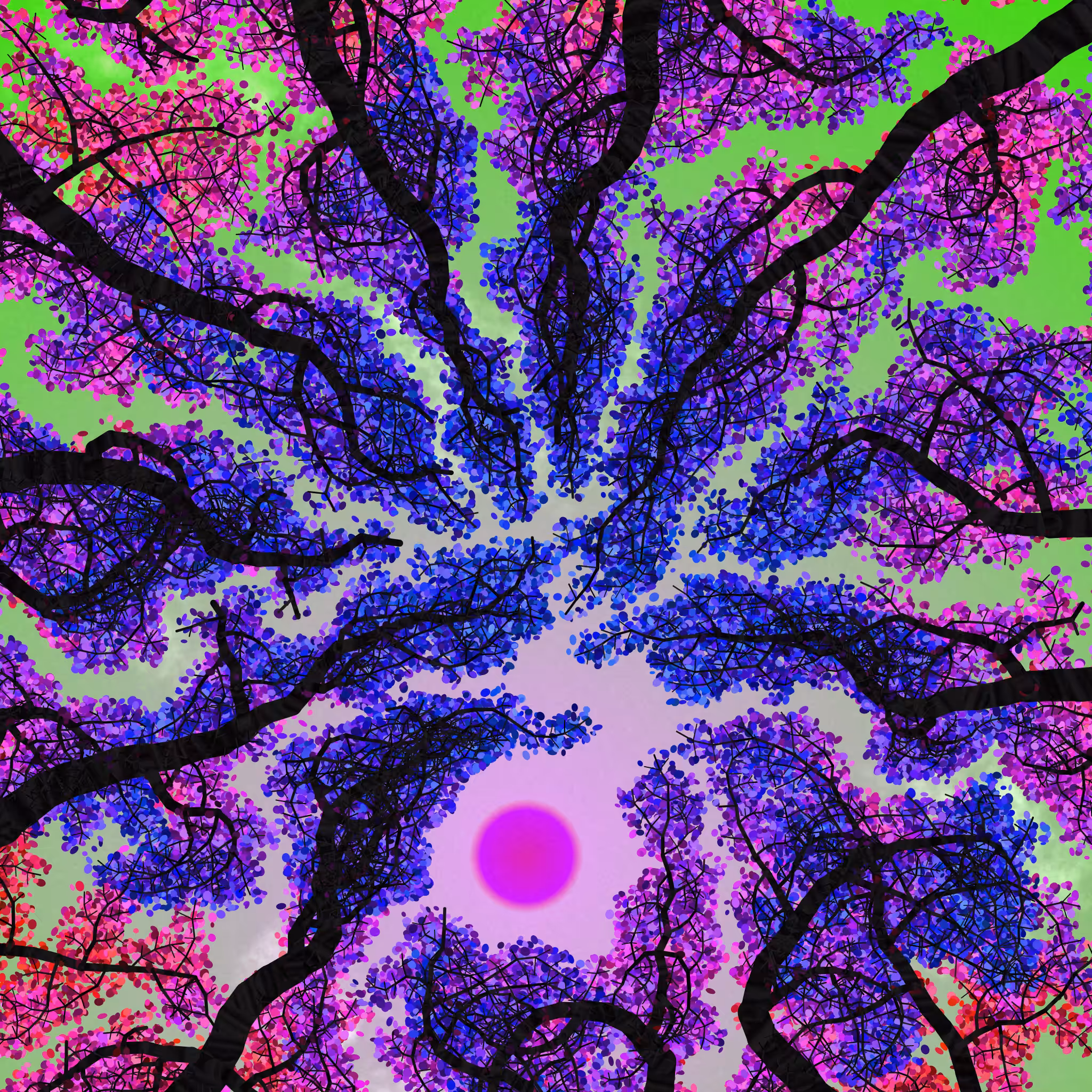 Tree Skyness #3