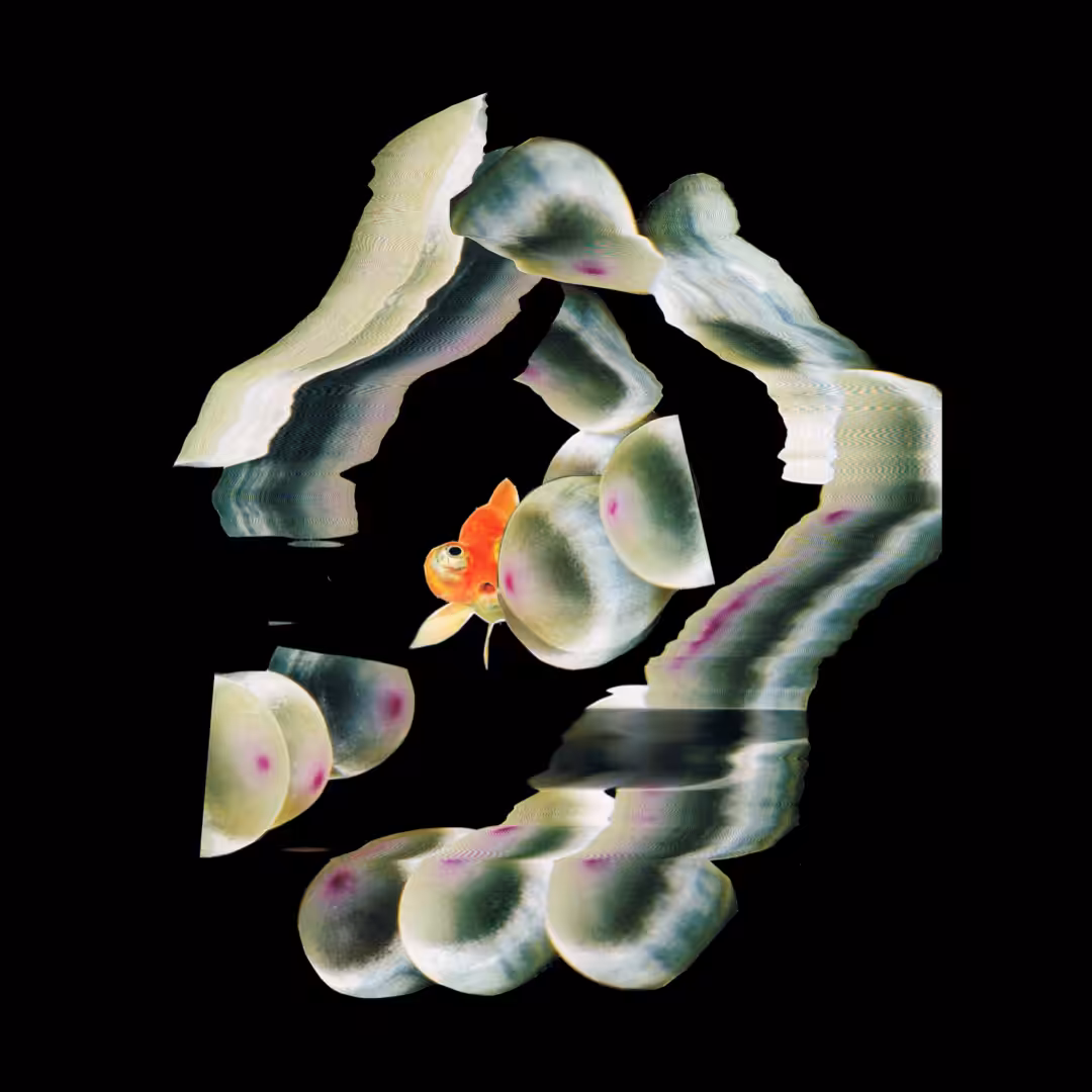 BUBBLE