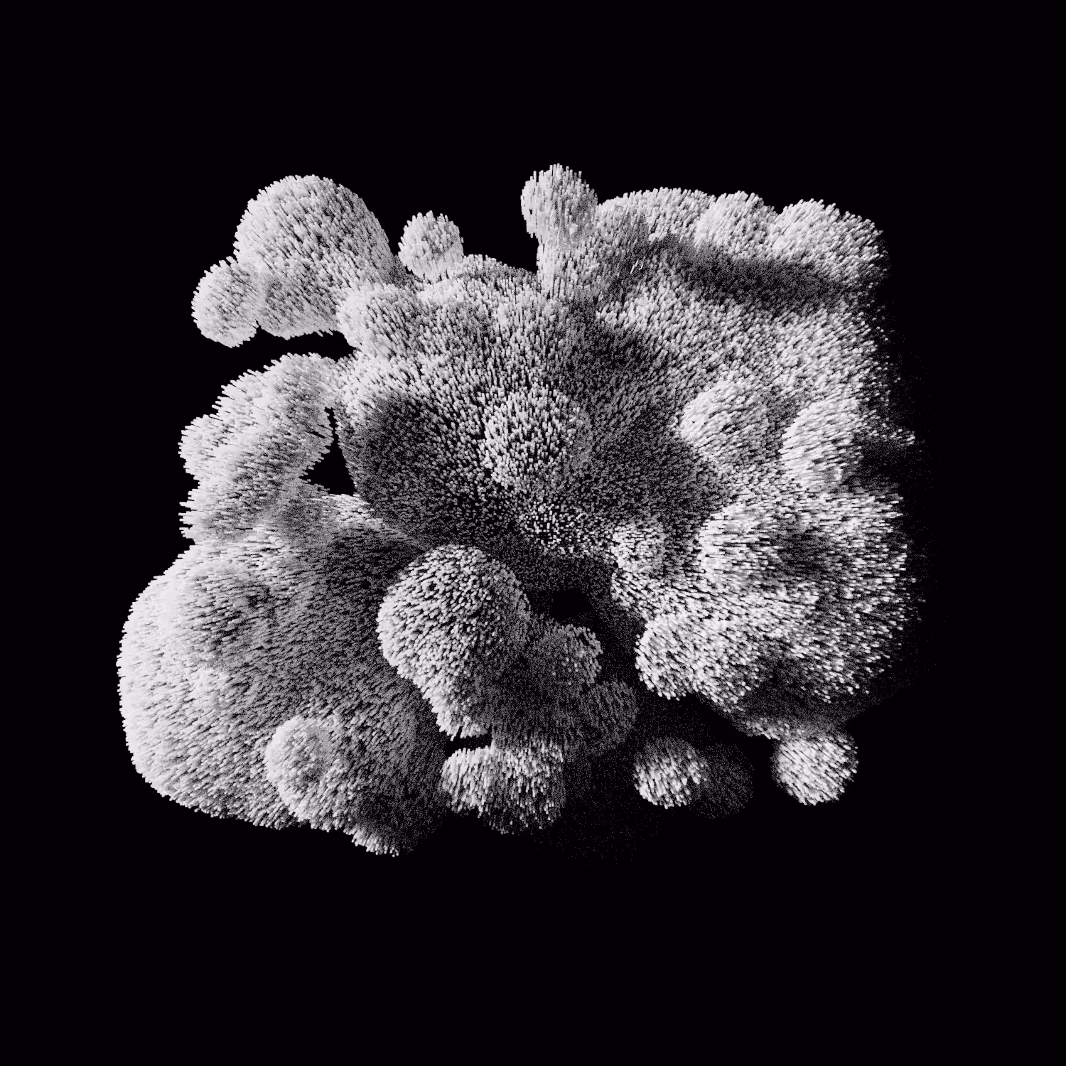 mycelium [black and white]