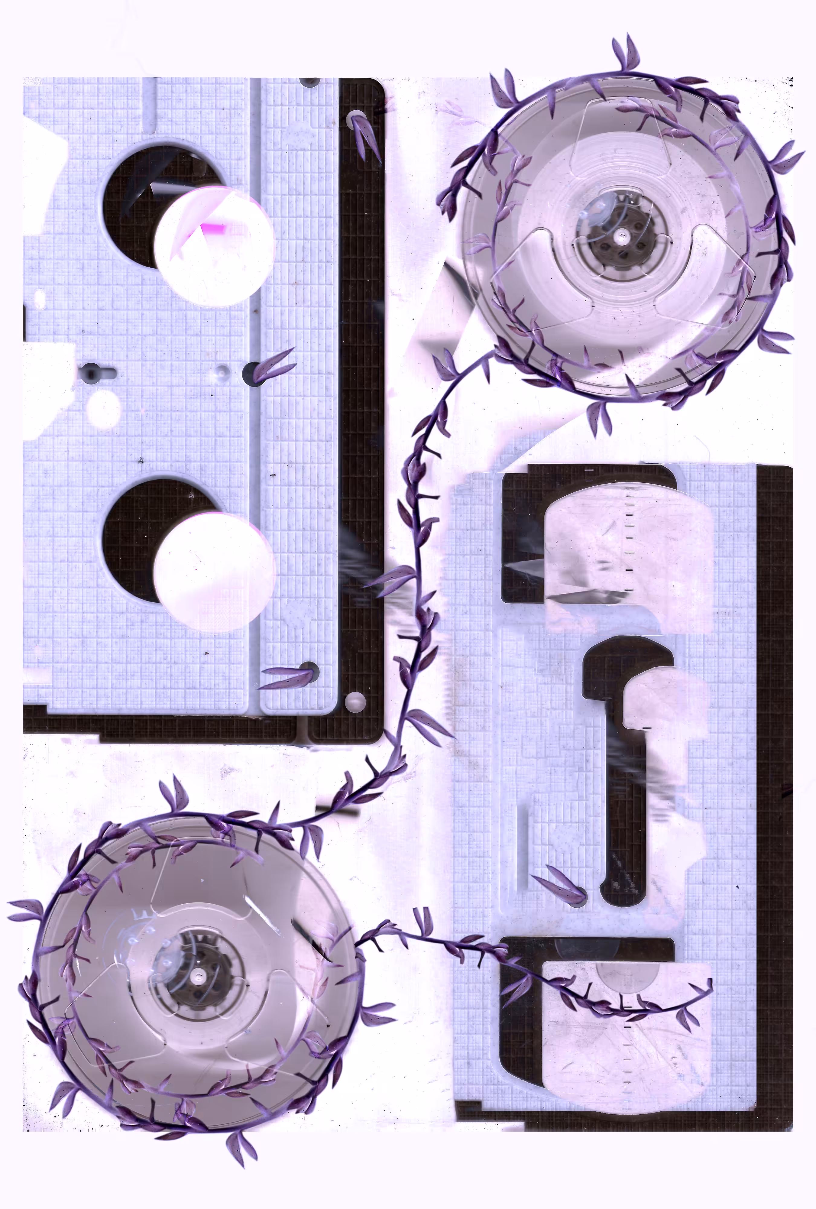 Magnetic garden