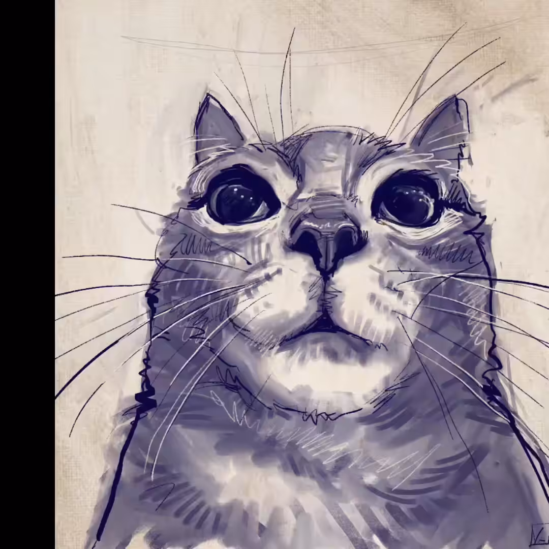 Cat WIP