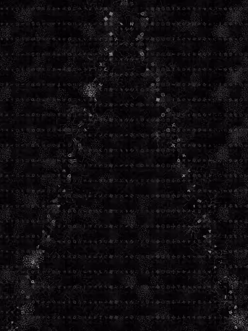 Cuneiform #64