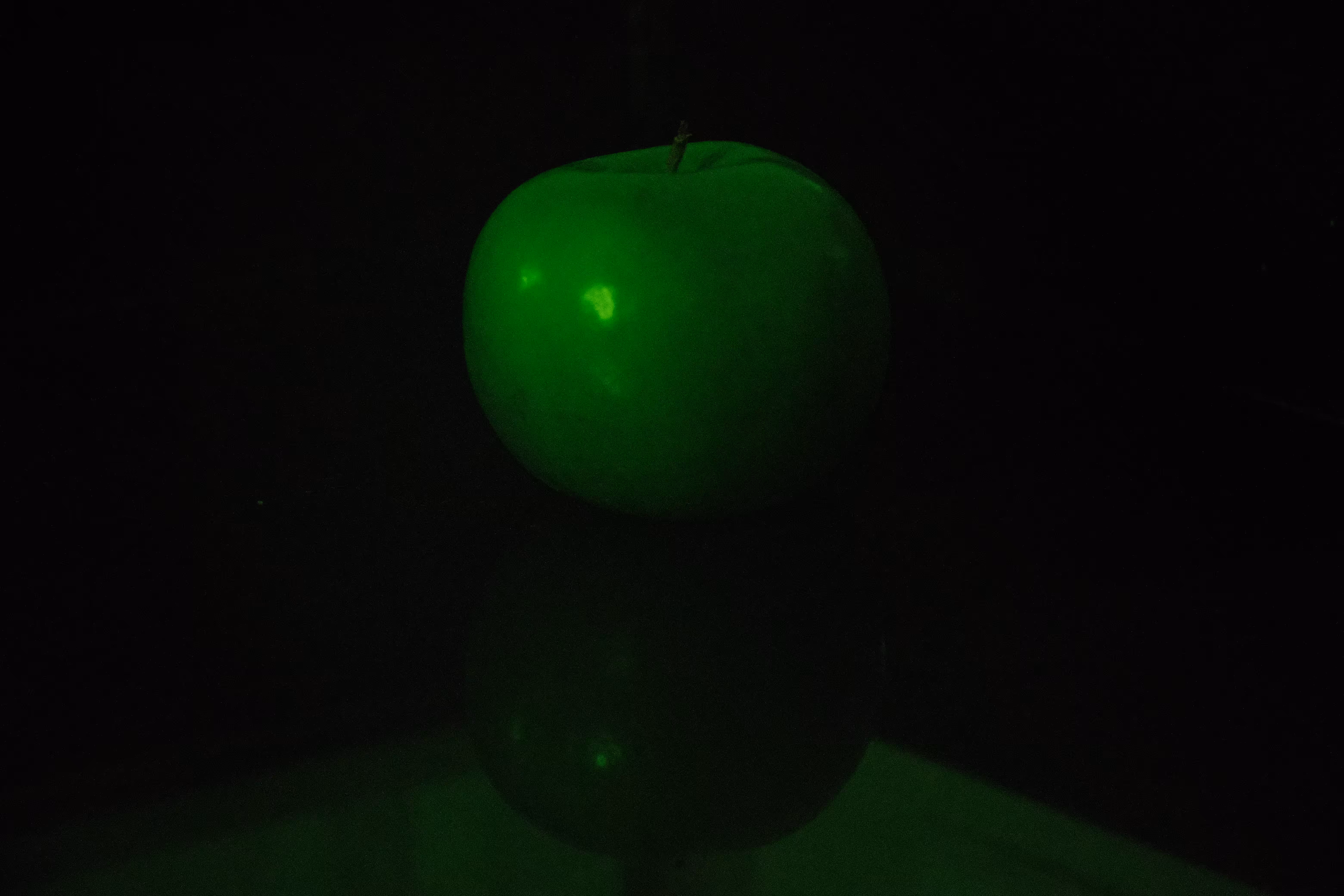 Photographer's DNA - #2