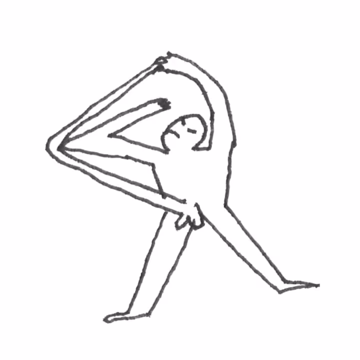 Contortionist #13 - The Strecht