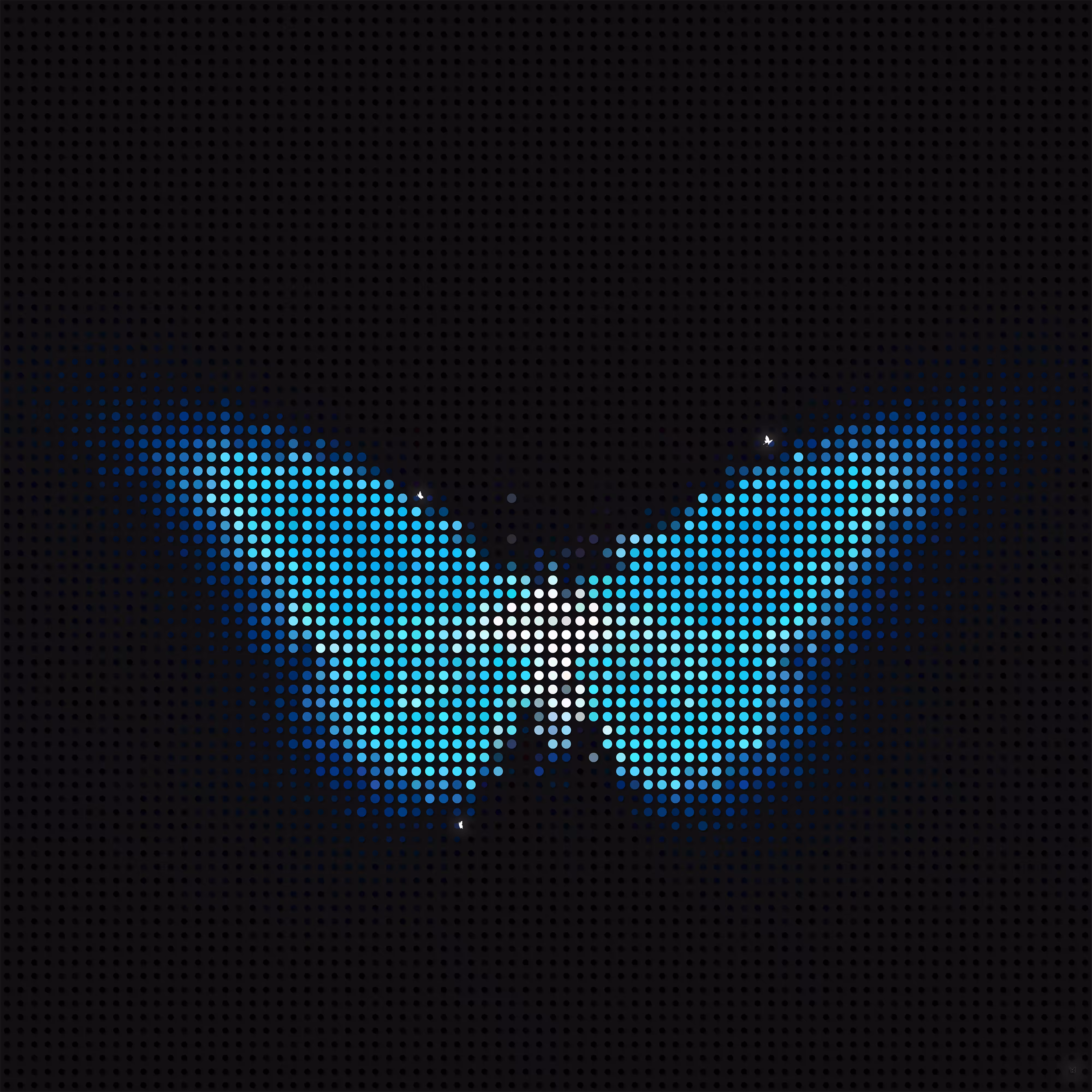 Five butterflies
