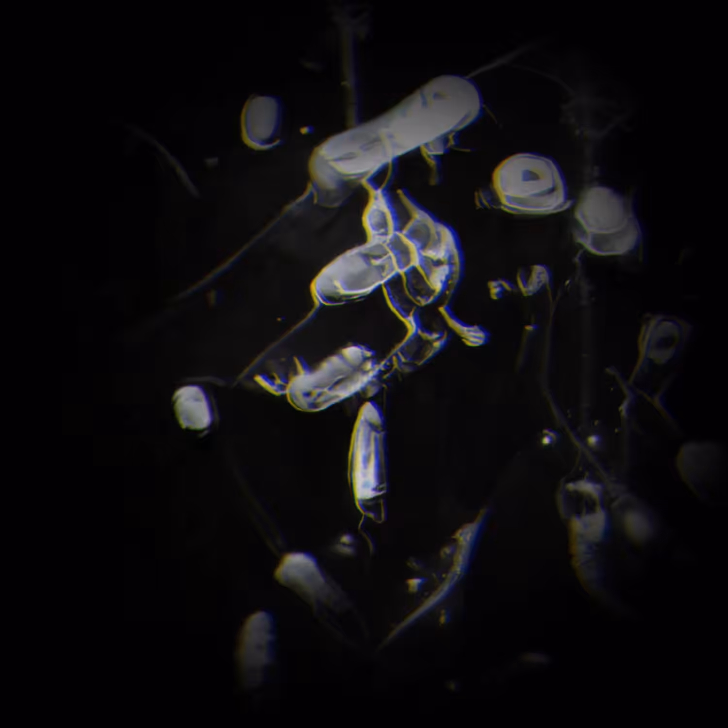 glitchspace11