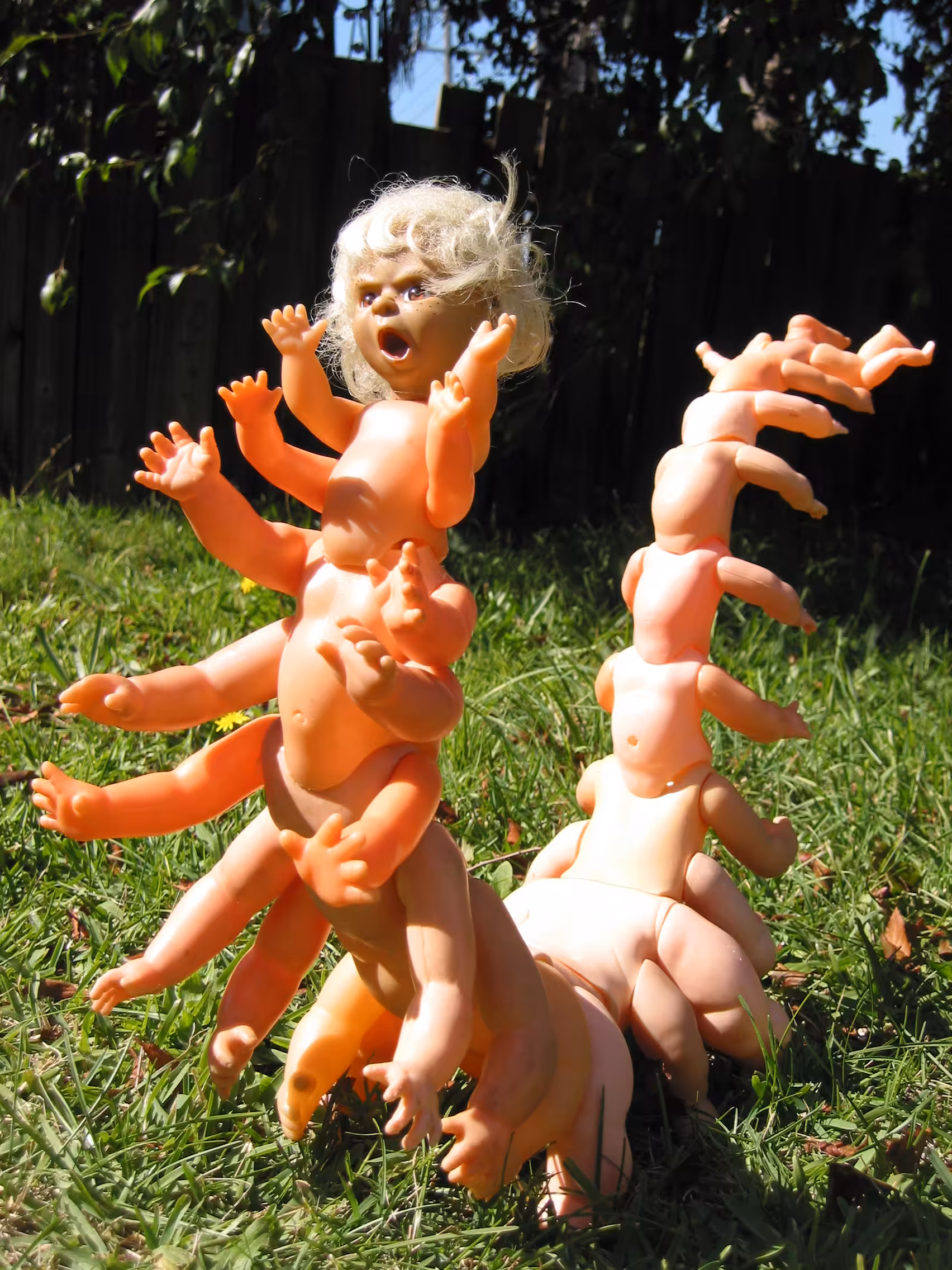 Angry Toddlerpede in the Backyard