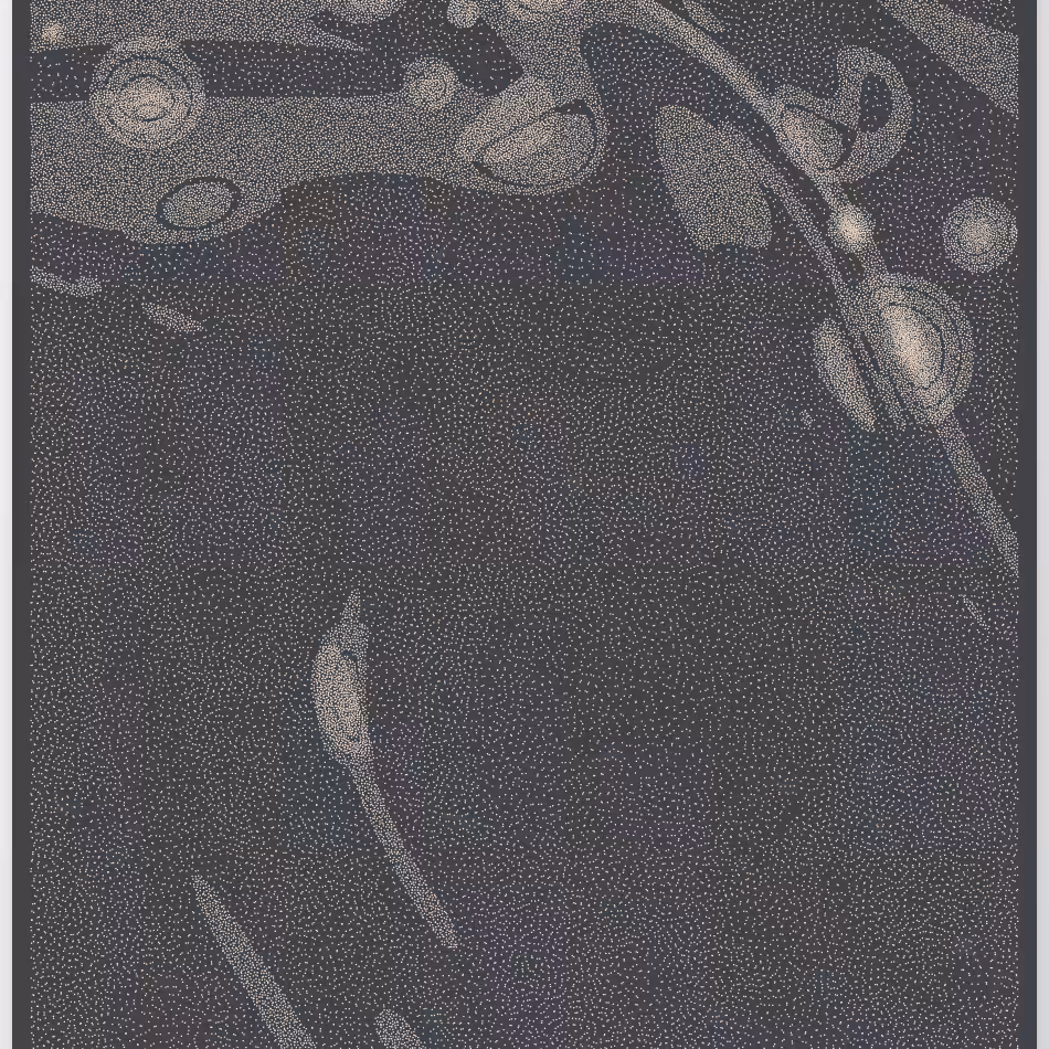 Caustics #16