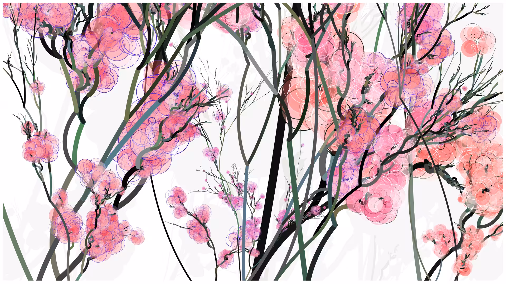 CODE-BLOSSOM #24