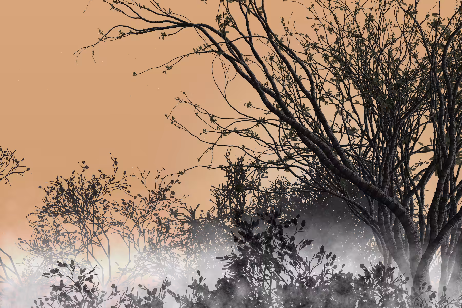 Morning Mist #274