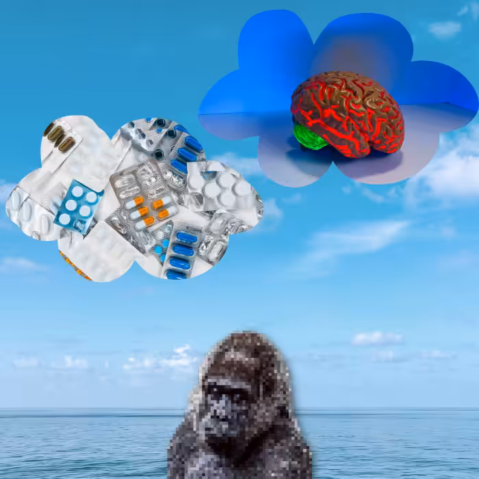 Anxious monkeys #3