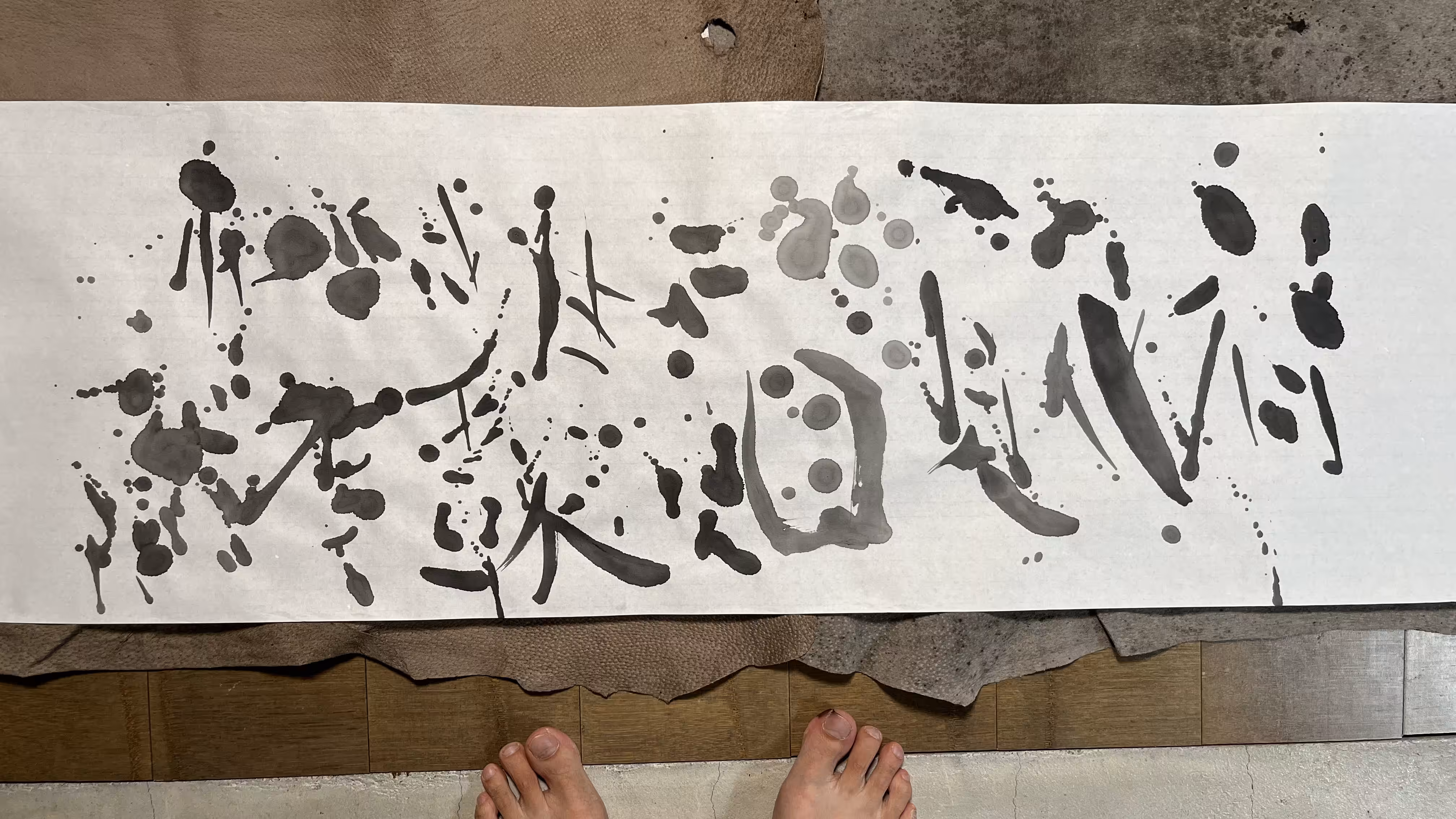 生成畫荷——花落花開