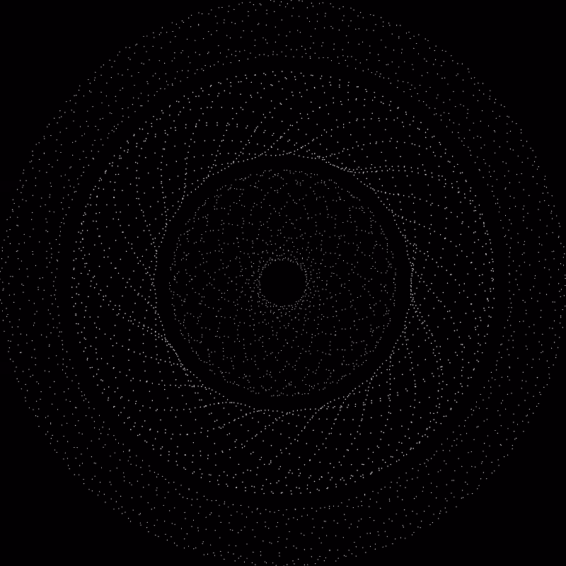 The Orbits #11