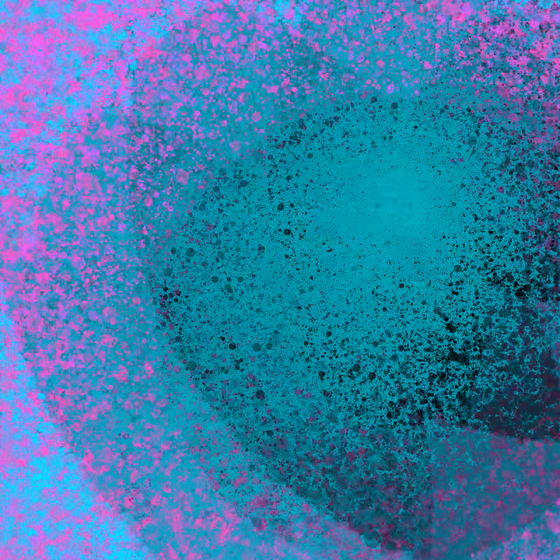 Enfold #28