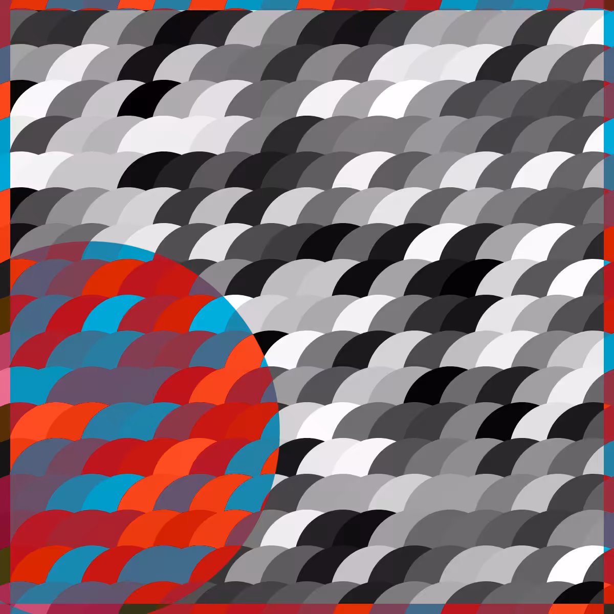 Magnify #31
