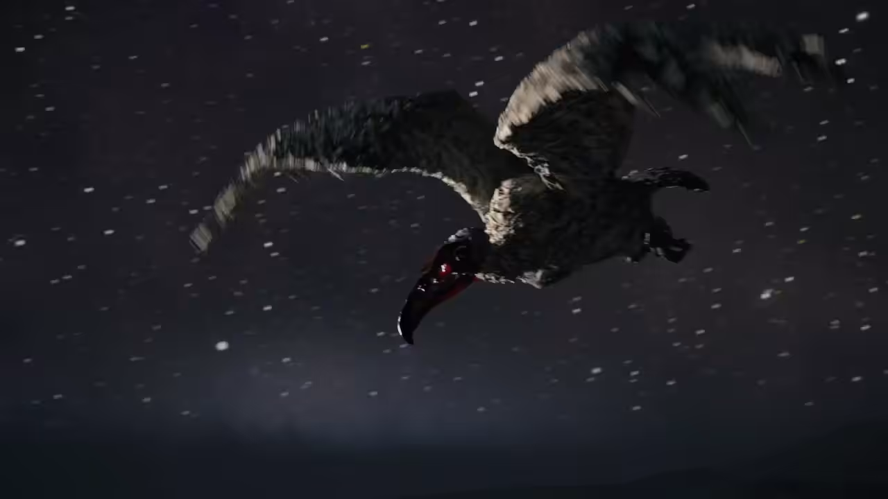 Flight of the Stone Vulture