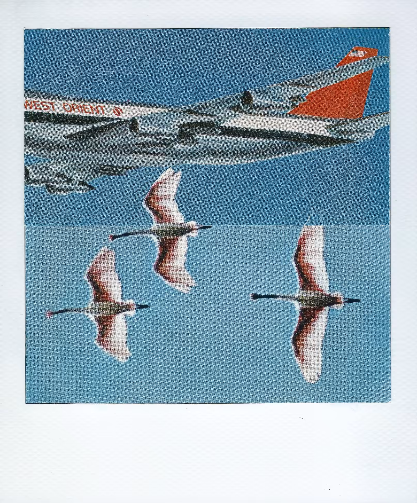 how i learned to fly