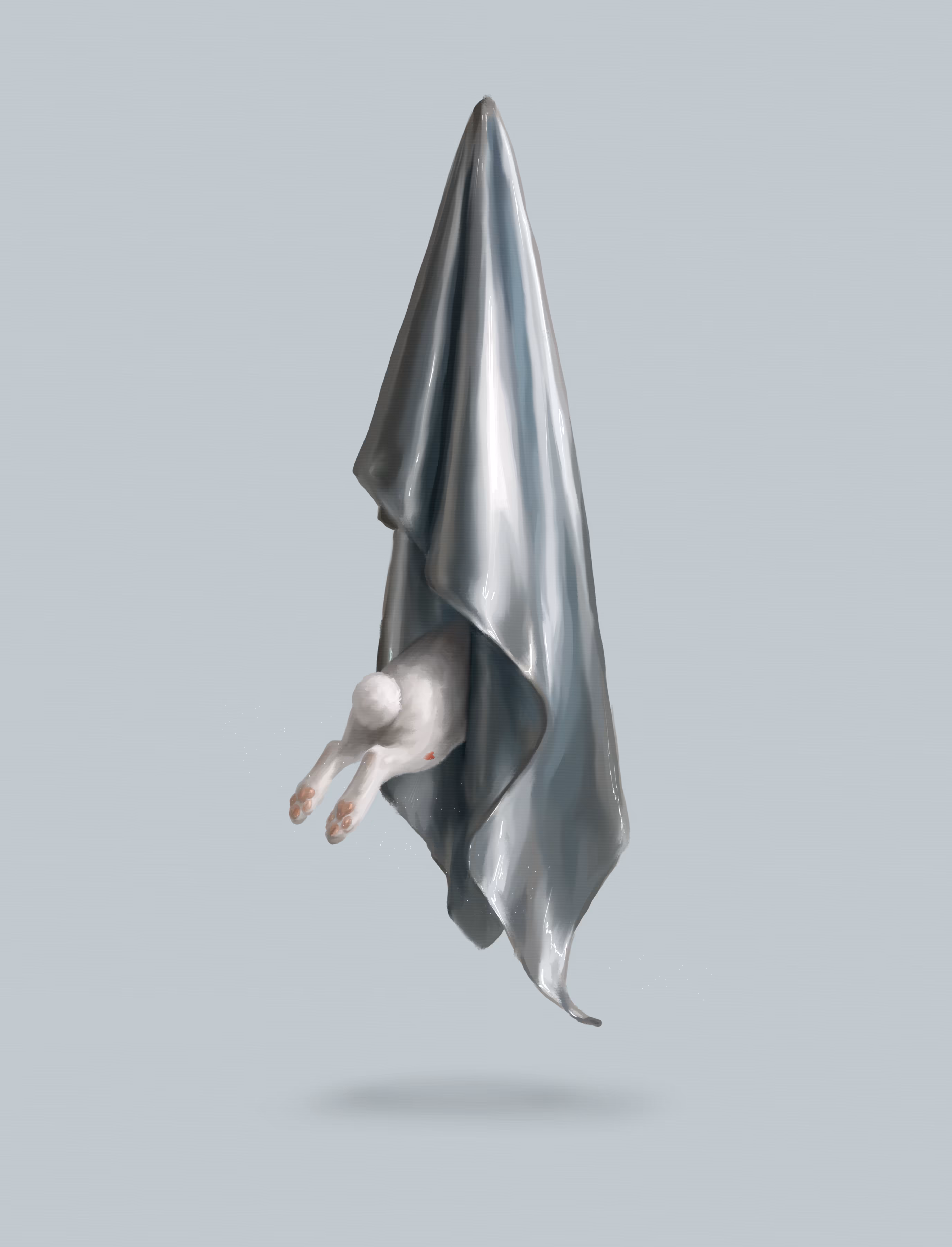 The Illusionist