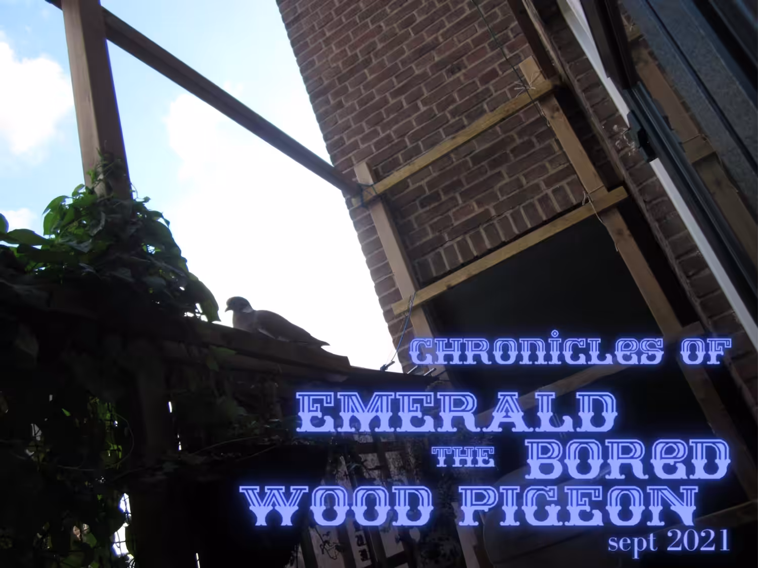 .21 Chronicles of Emerald the Bored Wood Pigeon Accessory NFT. Lucky Lucy van Delft #001 BACC