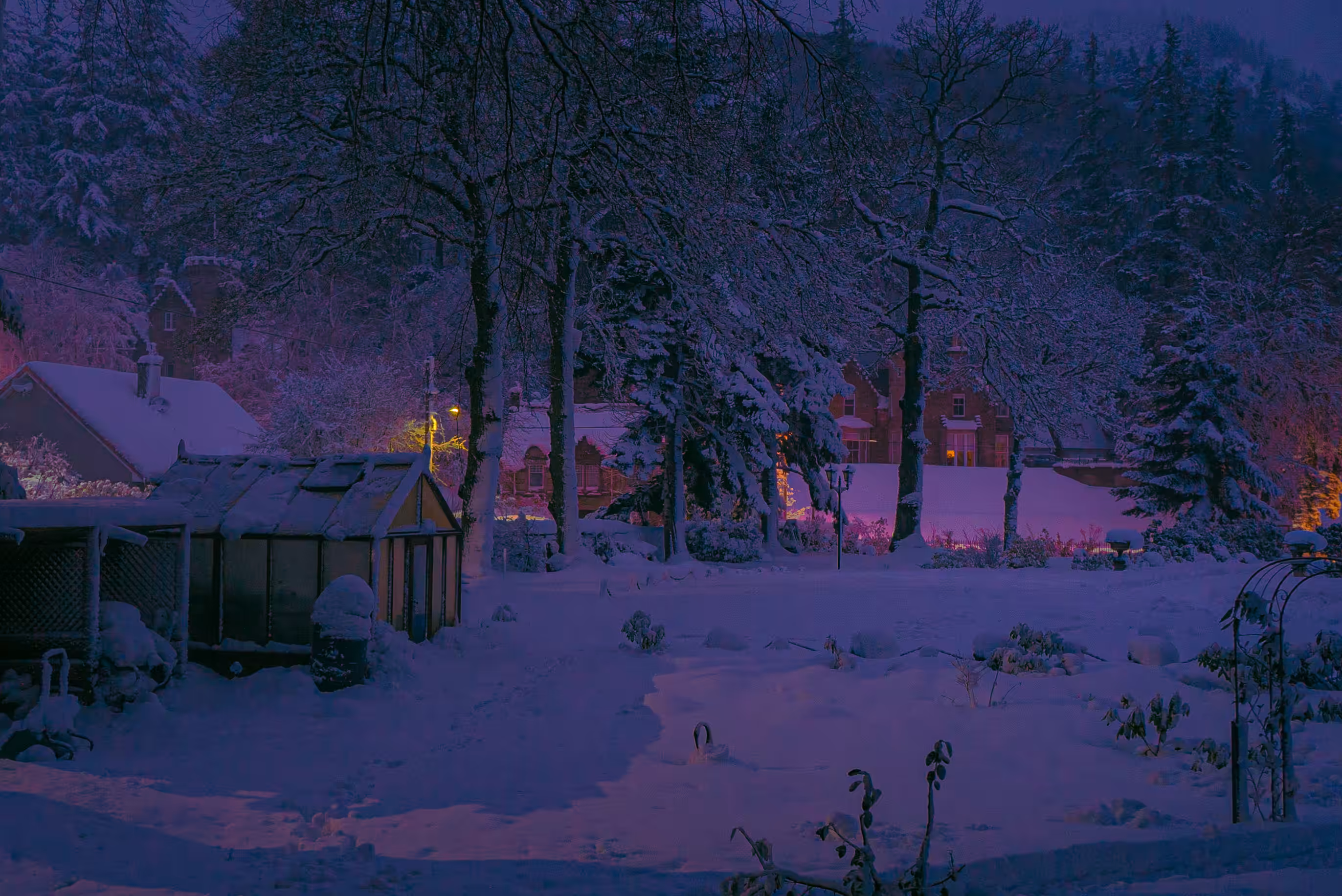 A Cold Winters Night #5