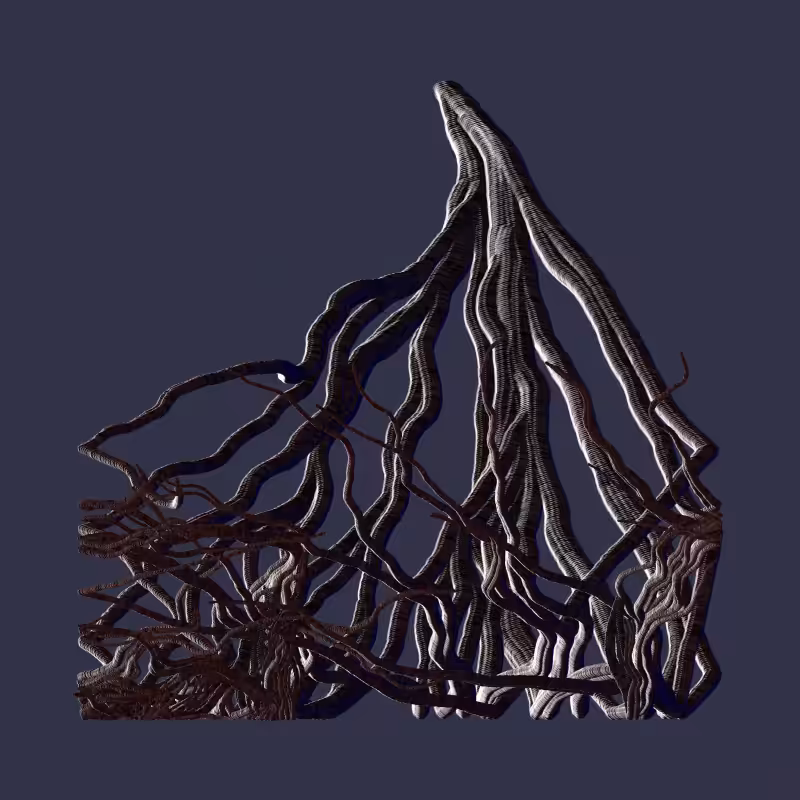 Root #42