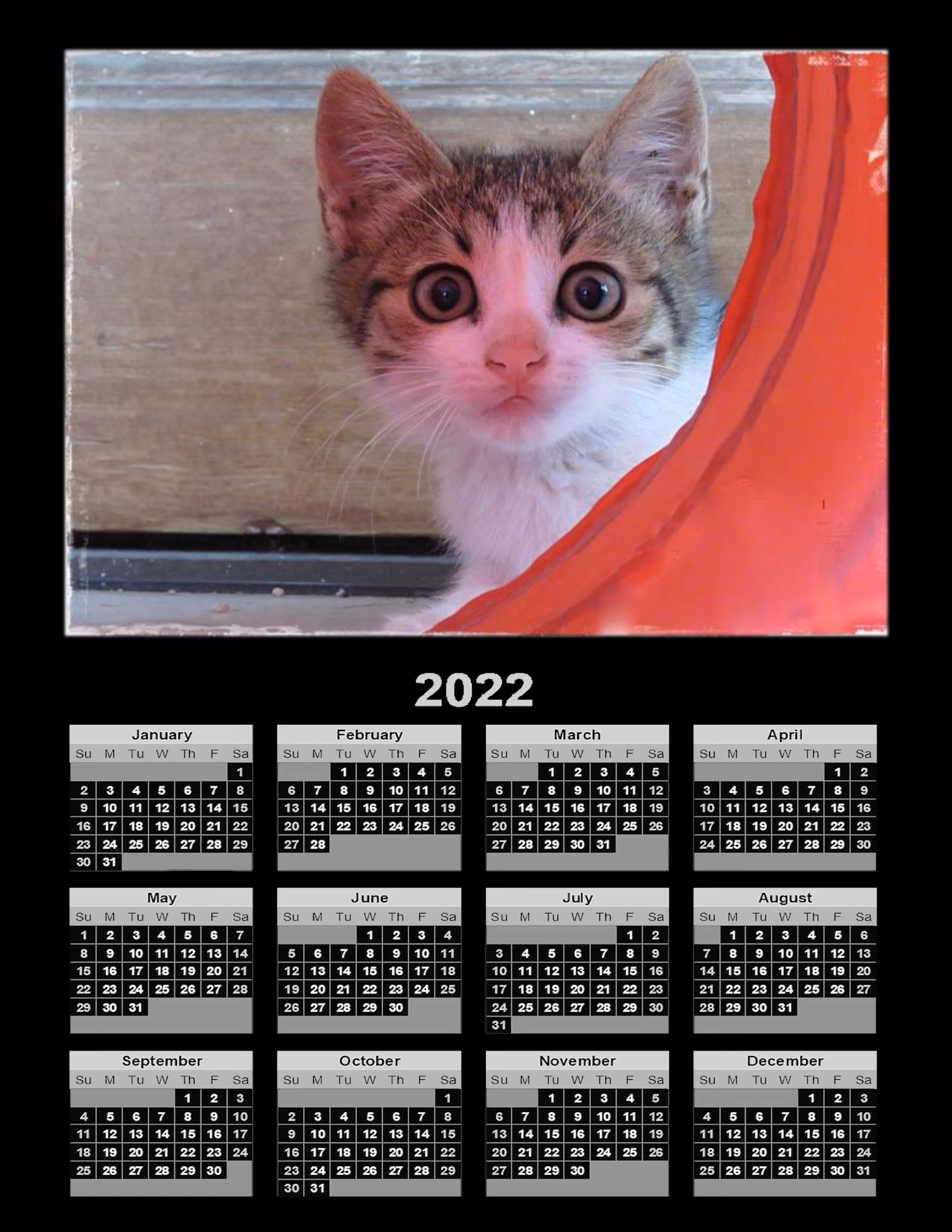 Spithas the Cat - 2022 calendar