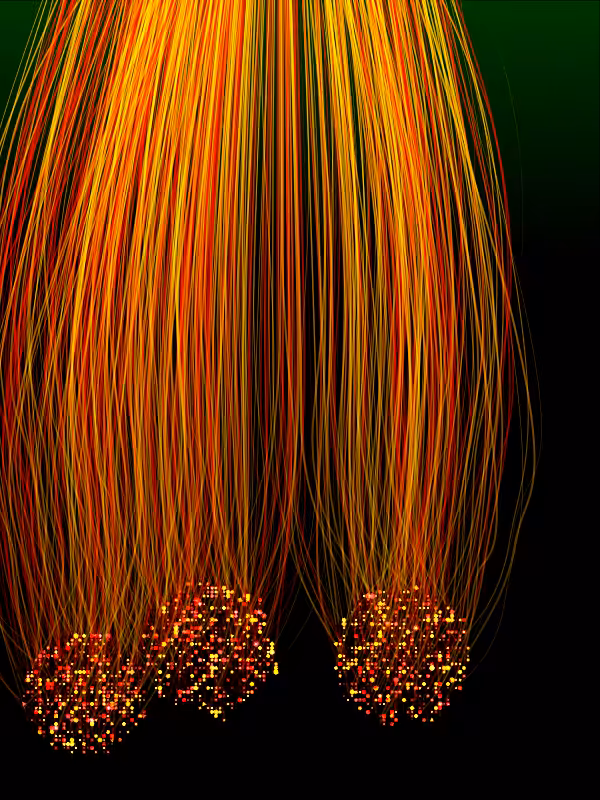 Jellyfish #9