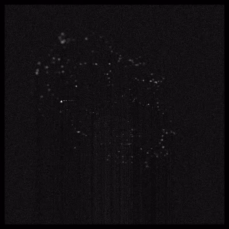 Rays & Dust #82