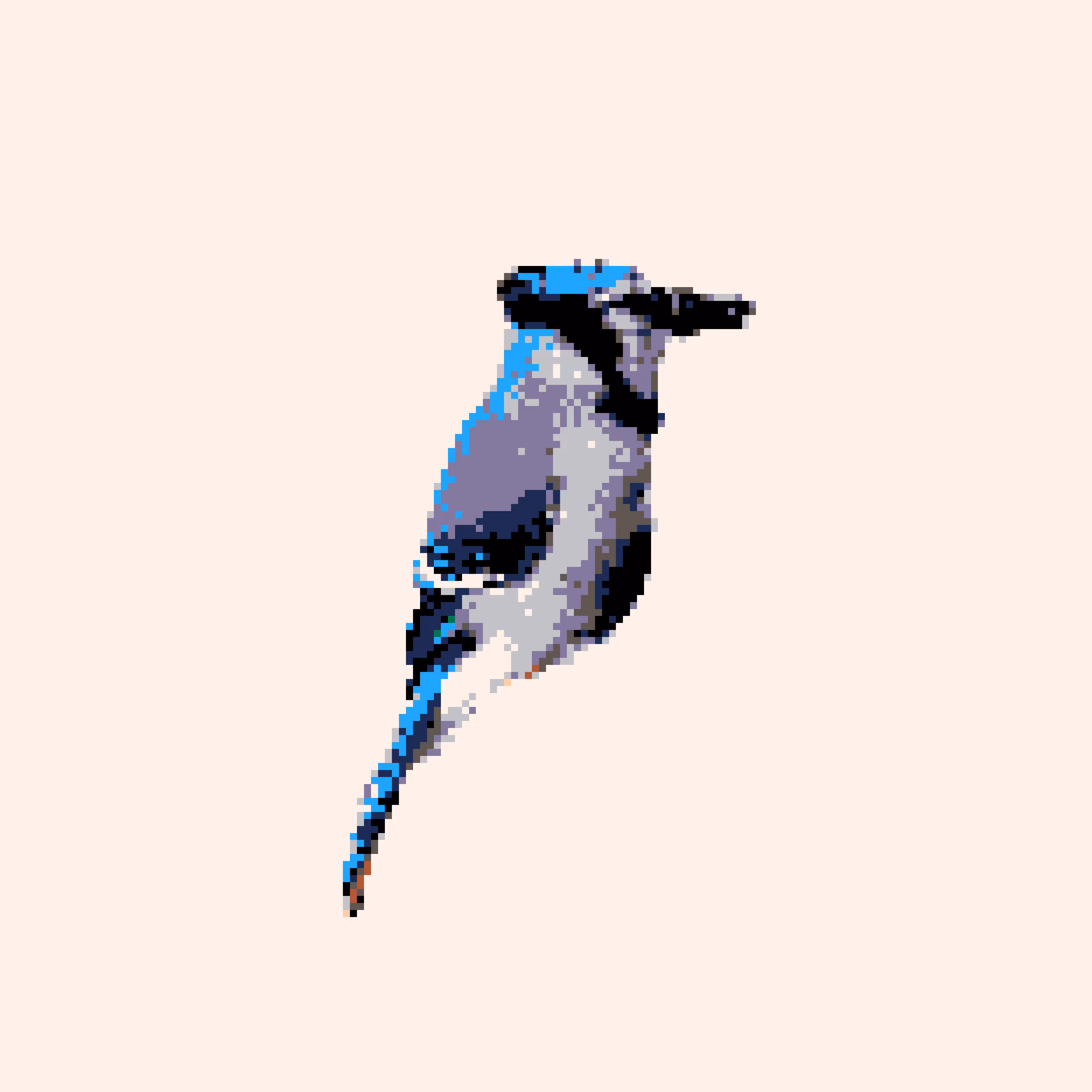 blueJ