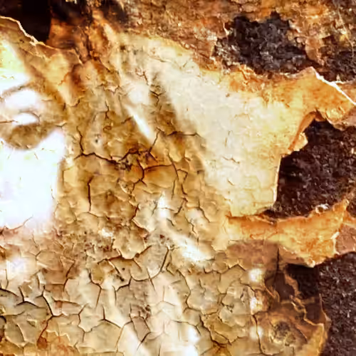 Anonymous Nobody Official: Beautifully Rusted