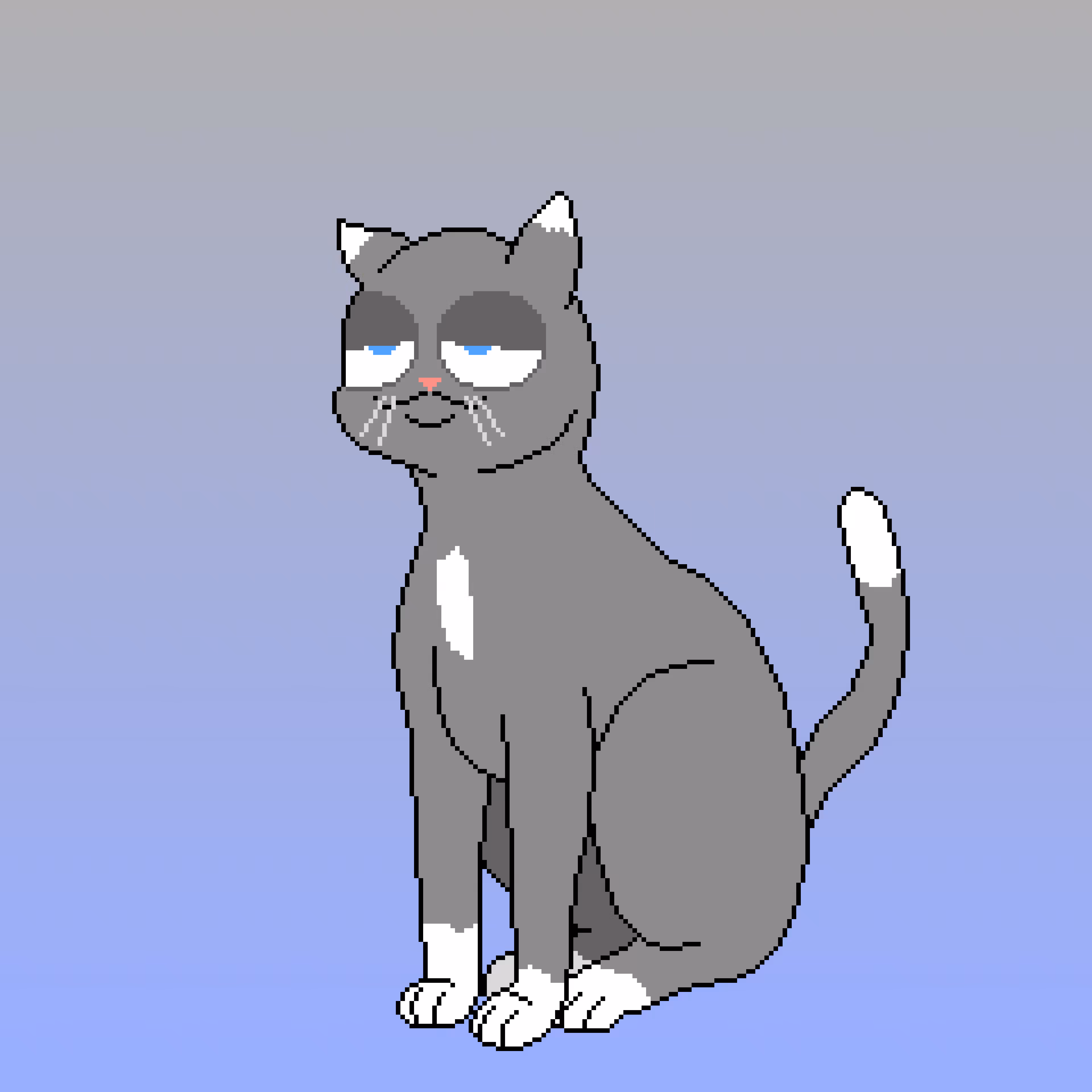 Cat Collective #001