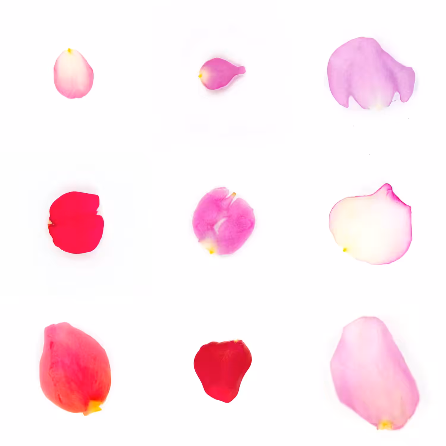 Infinite Petals 3x3#3506