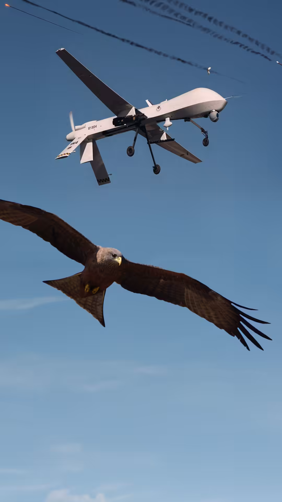 Drone eagle