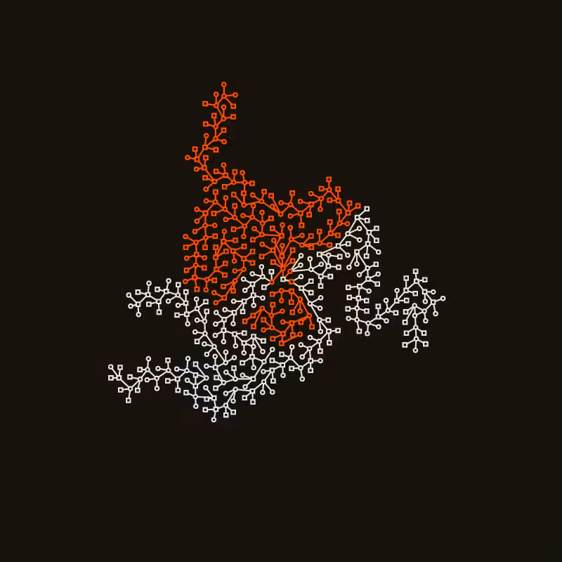 Networks #71