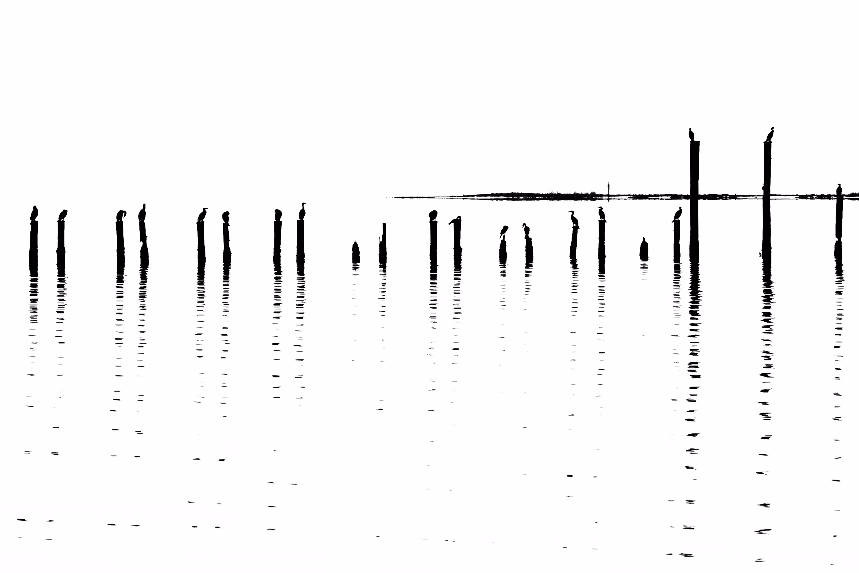 Birds on Sticks