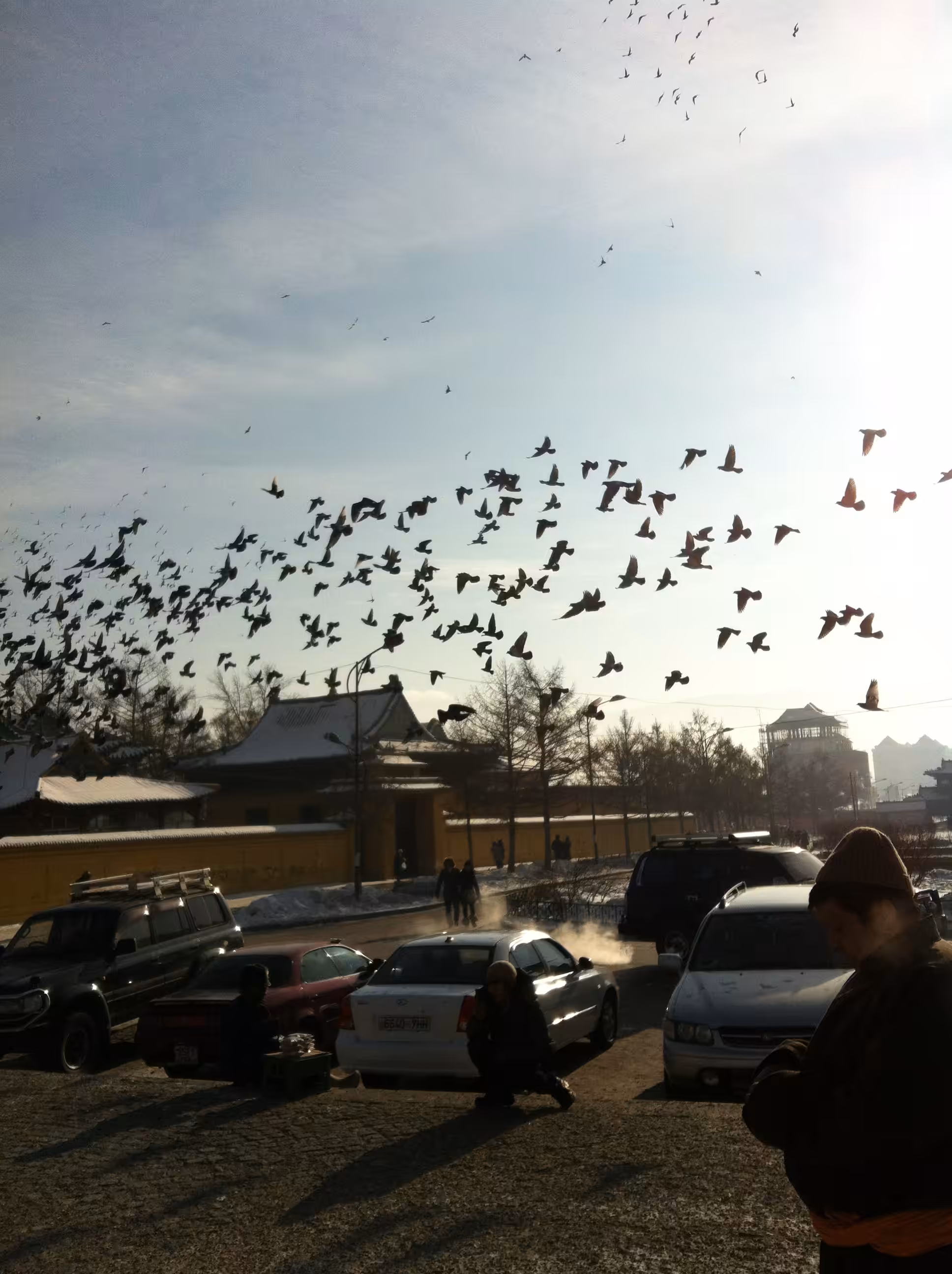 Birds in a monastery
