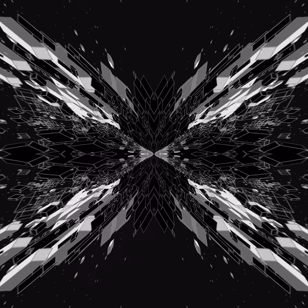 Renaissance Monochrome: PX-90//b&n[2] Loop Unit