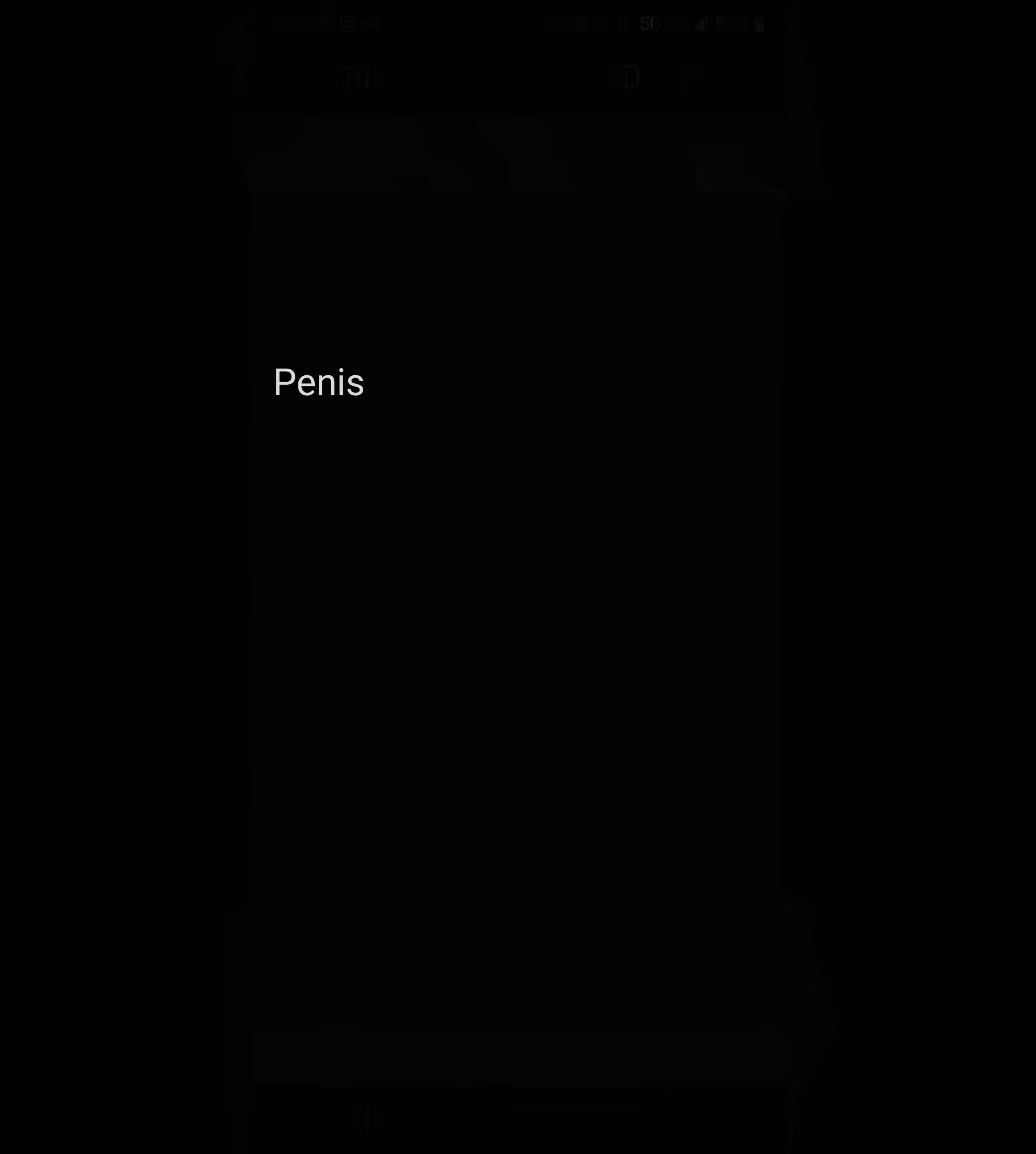 Penis