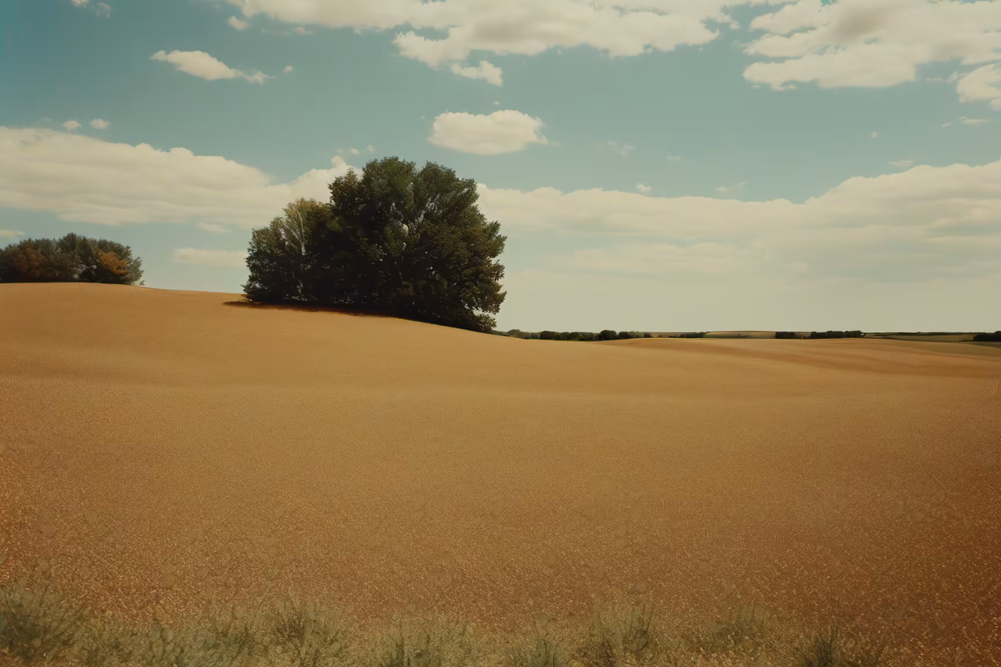 Lonely Landscapes #230