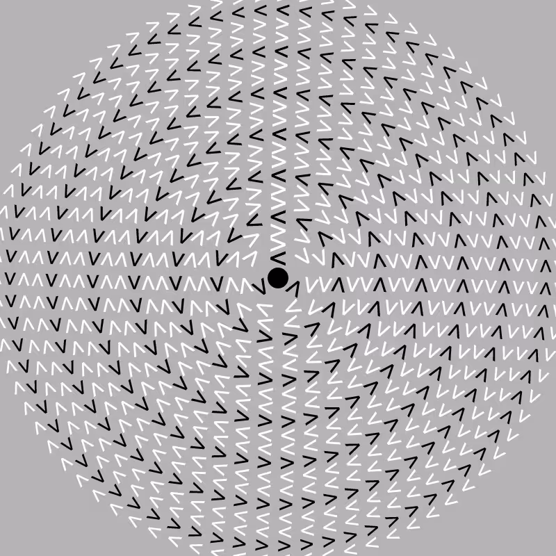 Dizzy Wheel #19