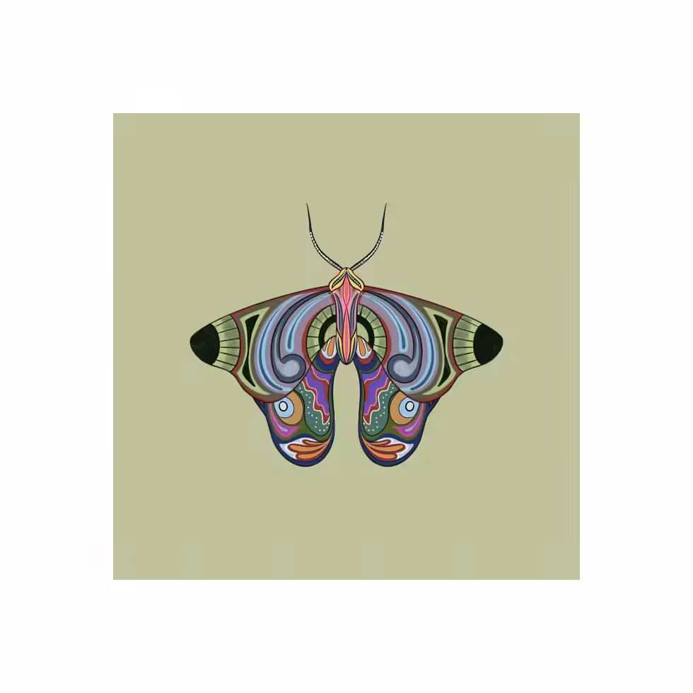 The Moth Experiment  #27