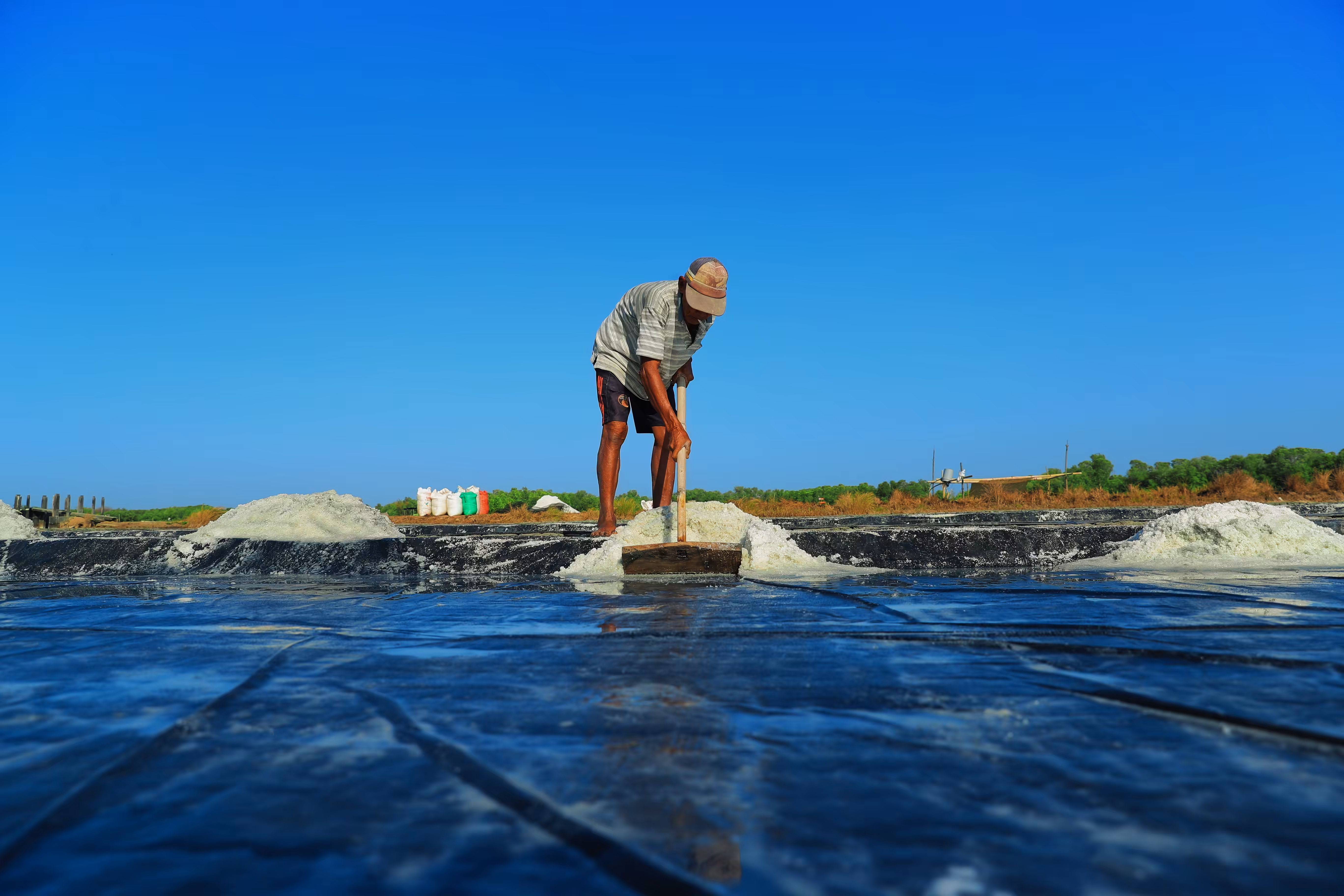 Salt Workers