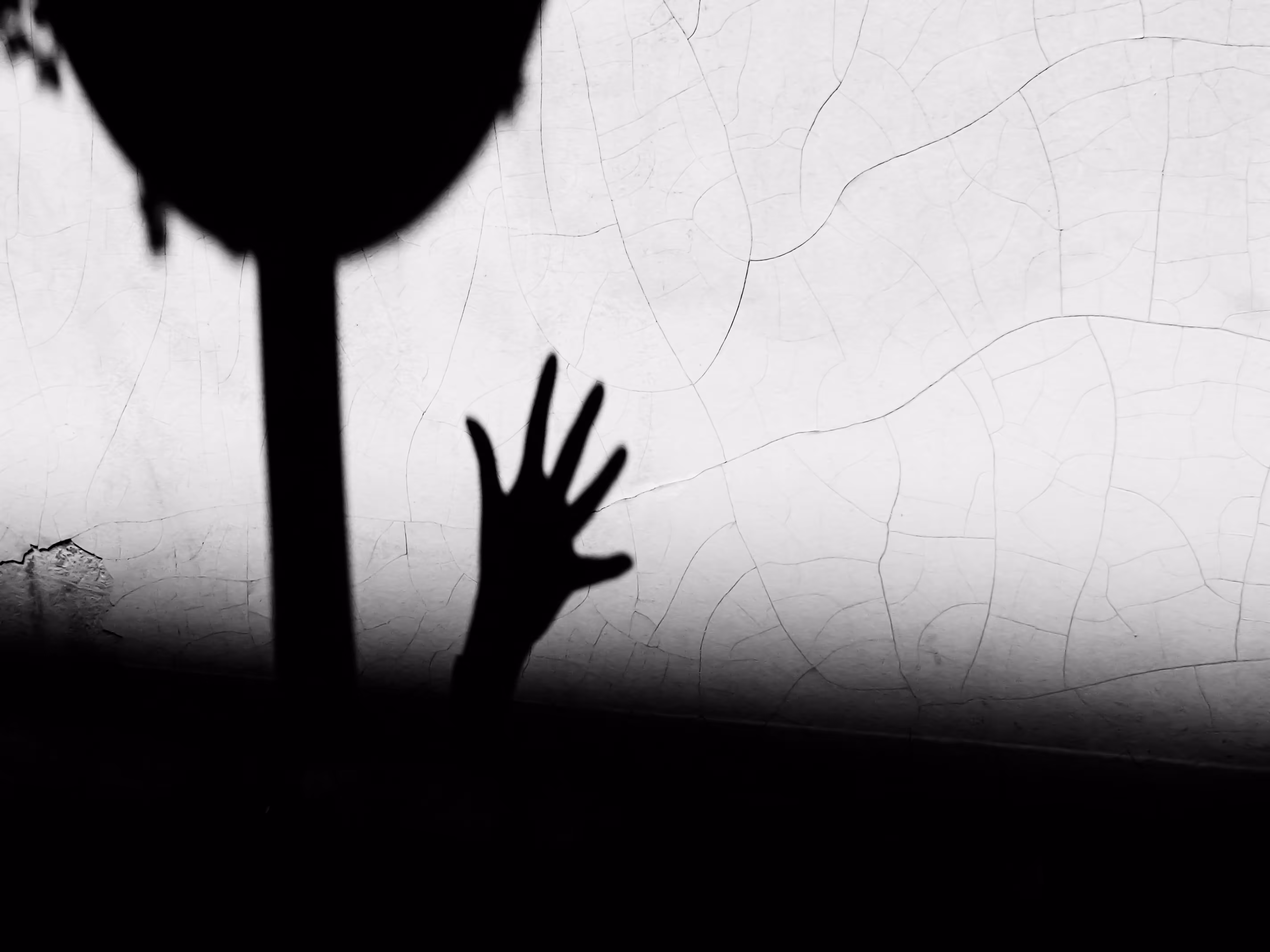 Hand shadow