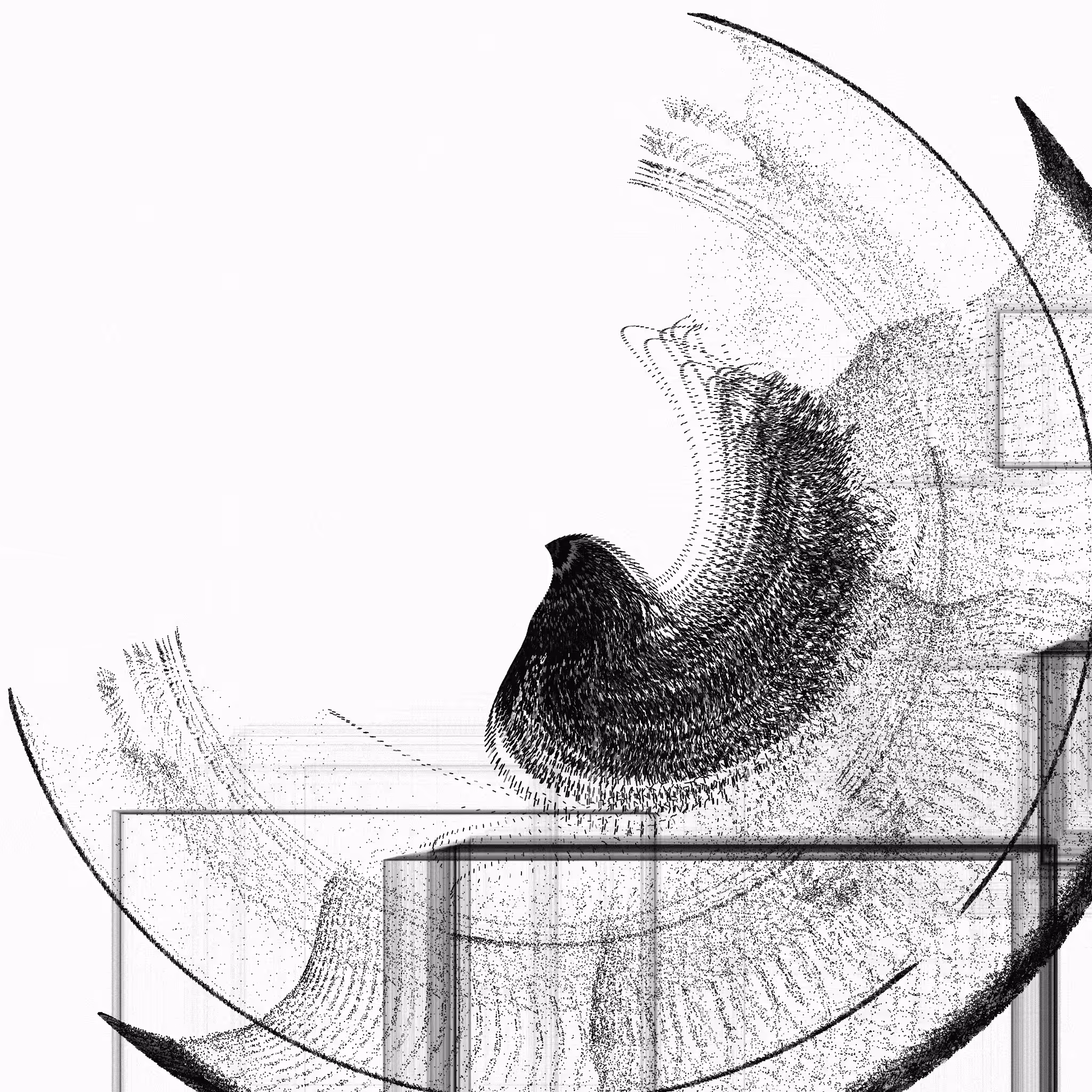 Circular Growth #29