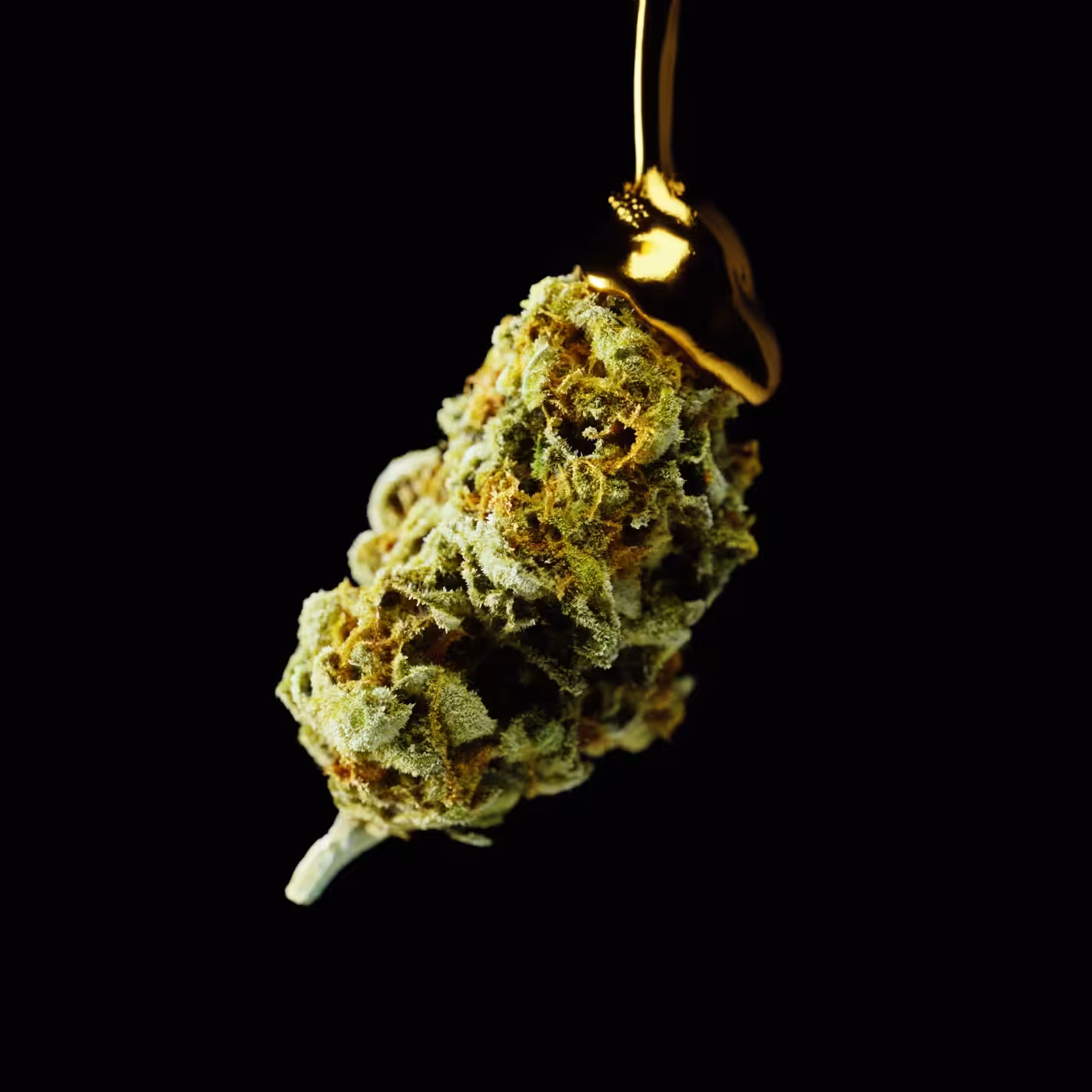 Quebec Gold(Drip)