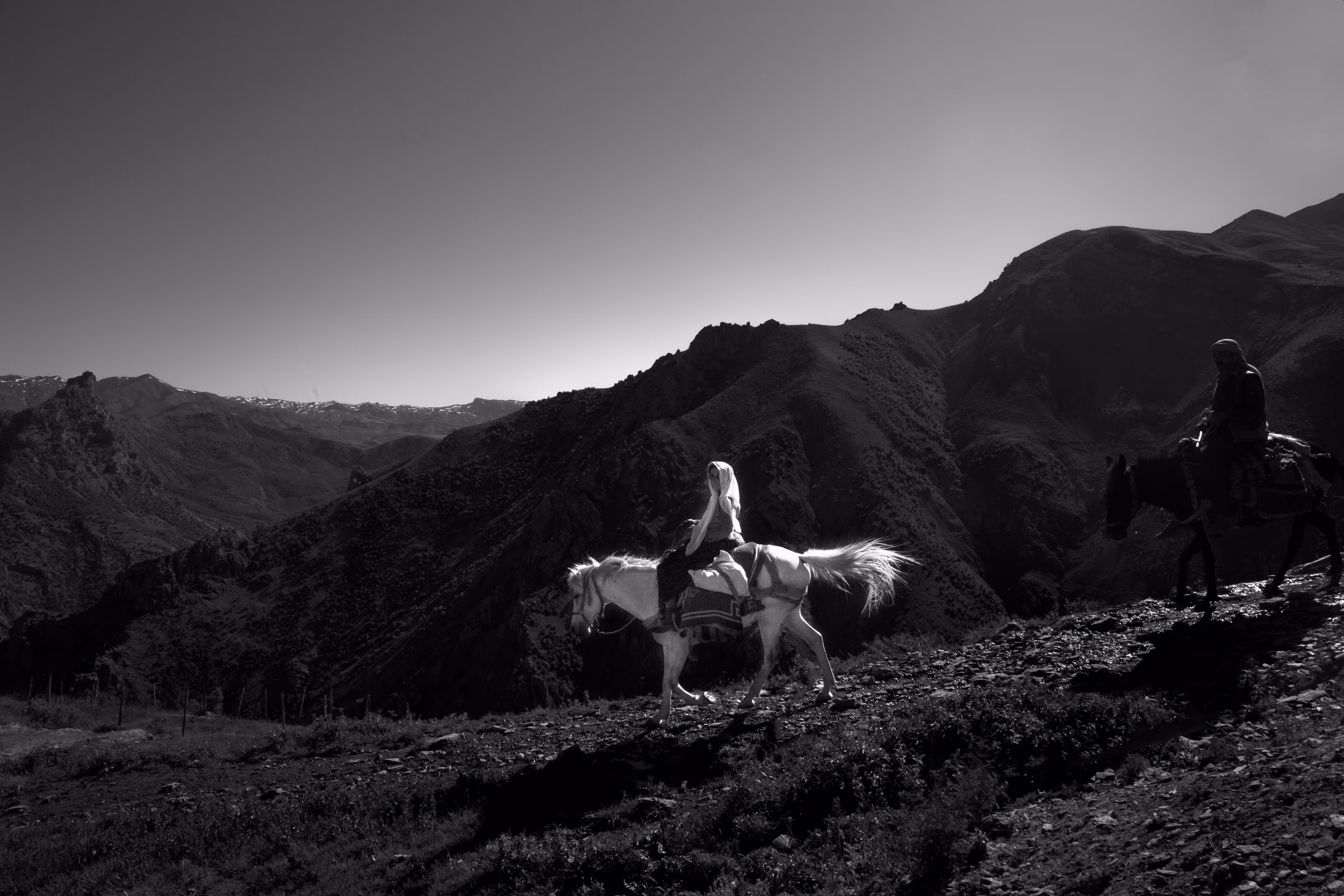 Owners of the Mountains 