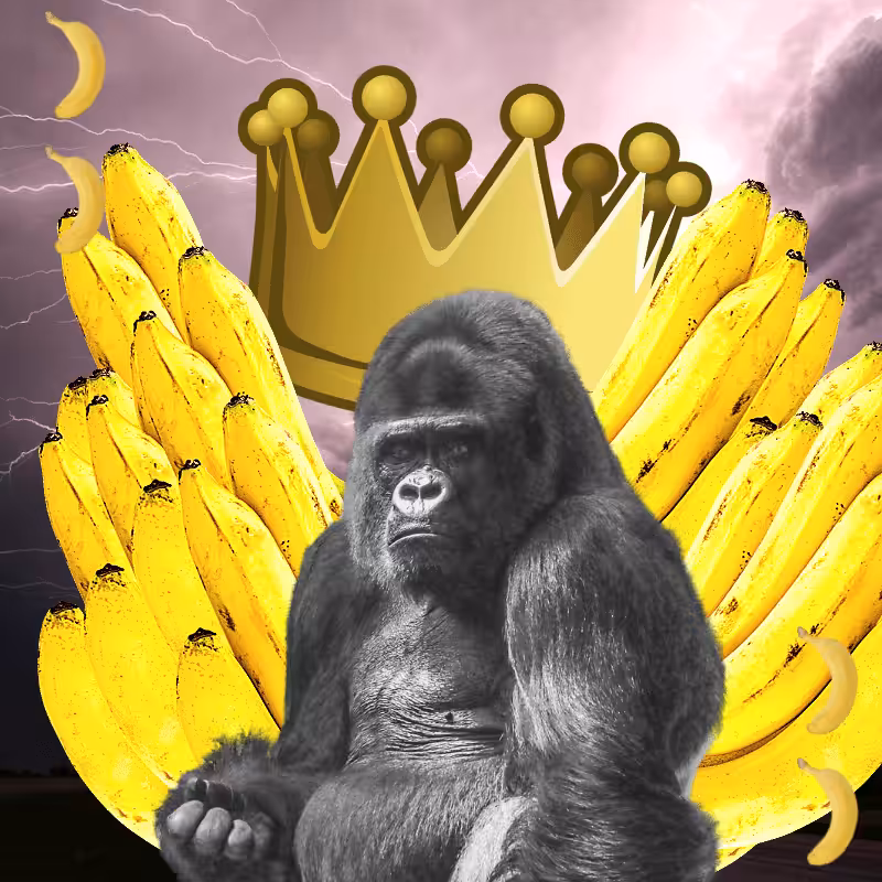Banana gods #29