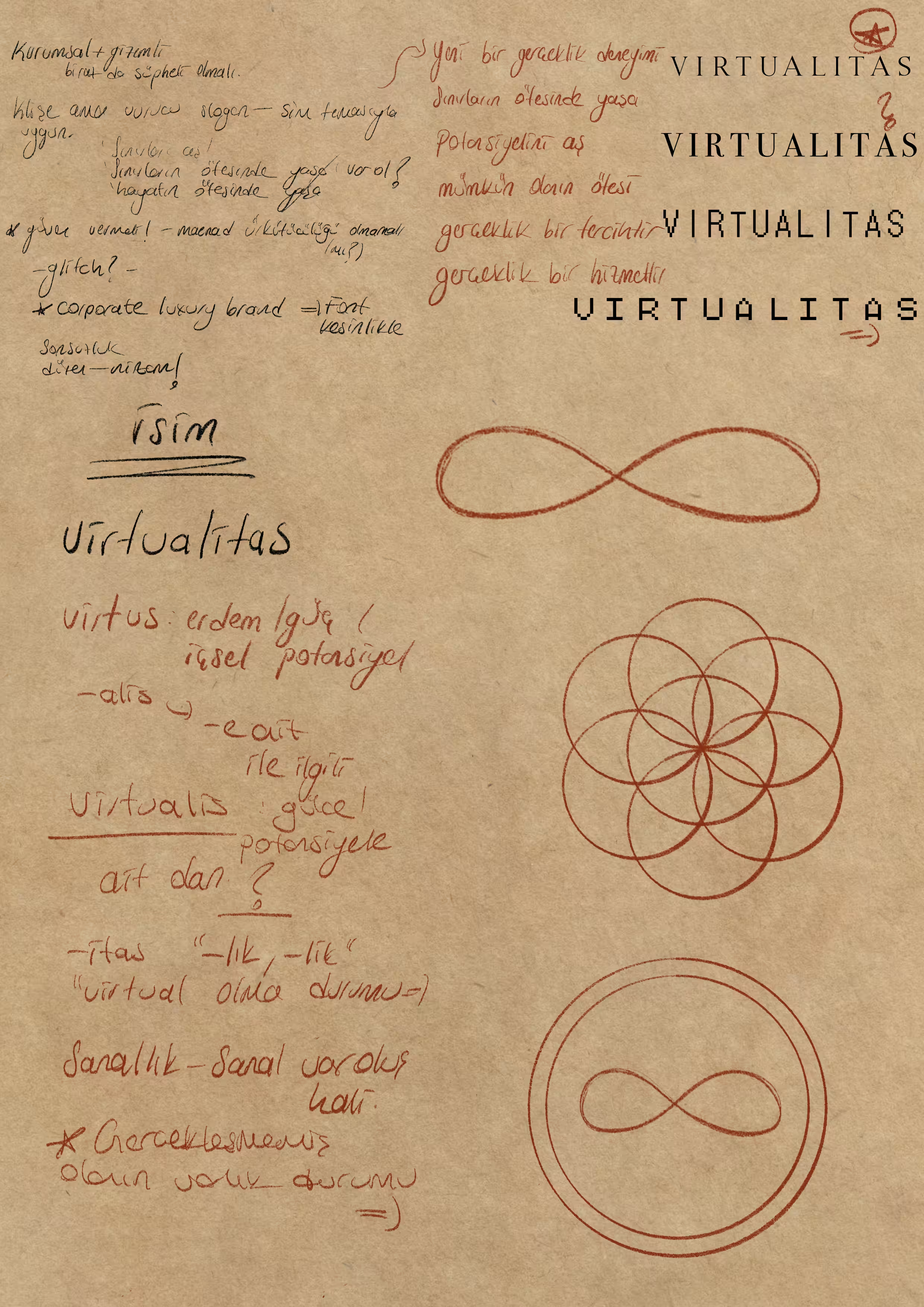 kayıt_0001_virtualitas_kimlik